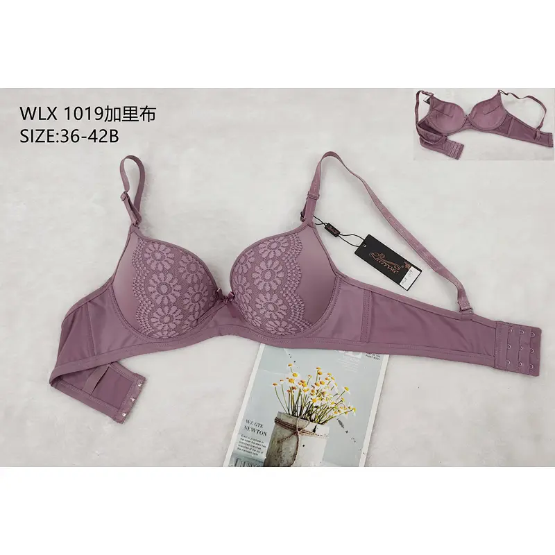 WLX1019加里布,bra