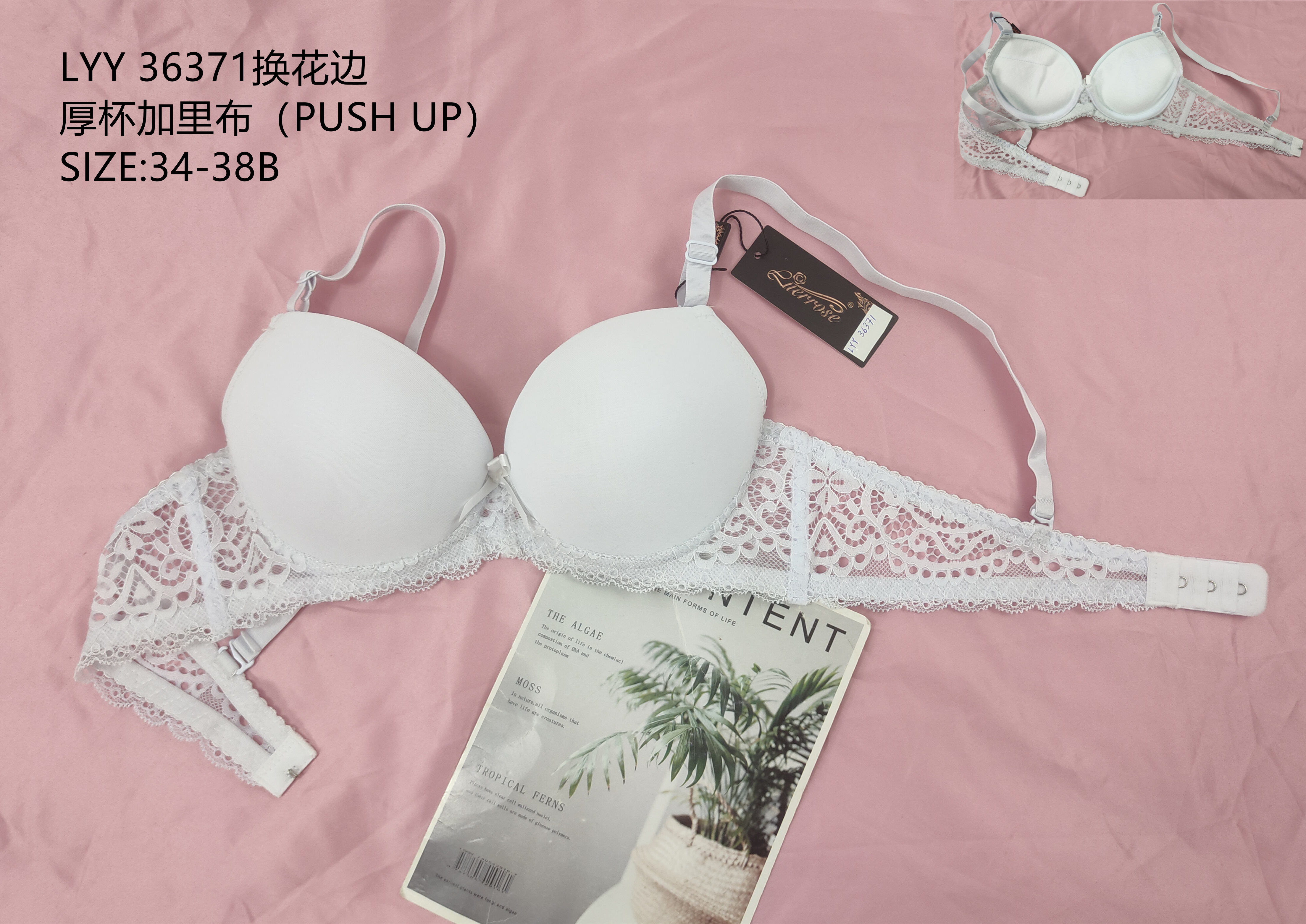 LYY36371厚杯