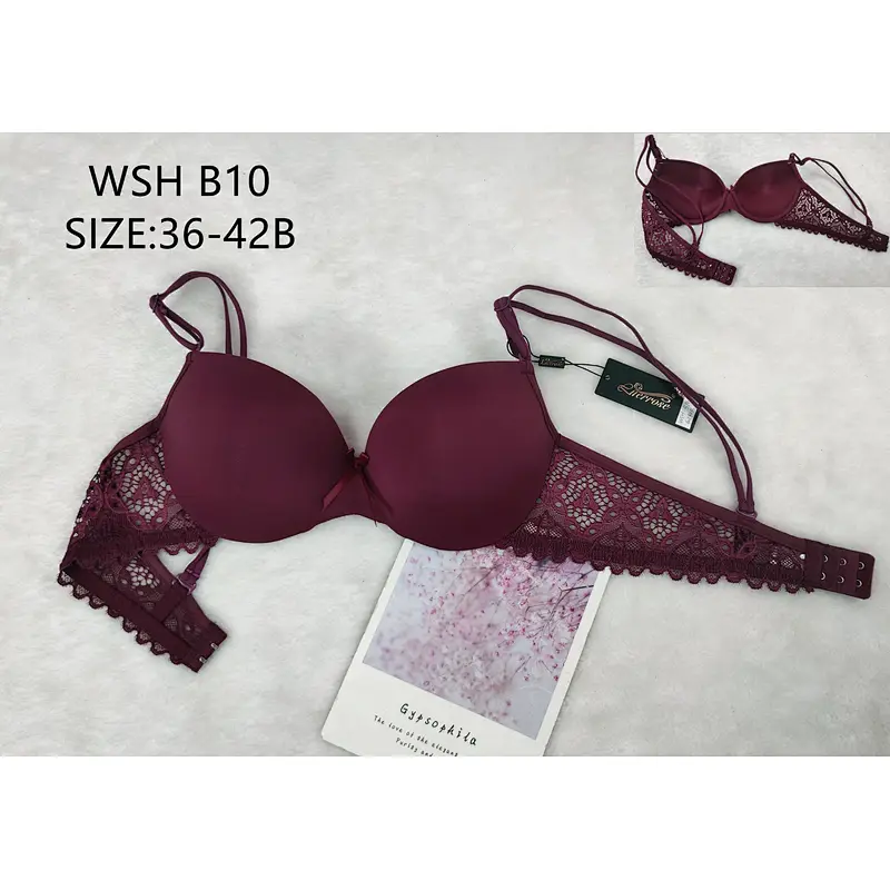 WSHB10,bra