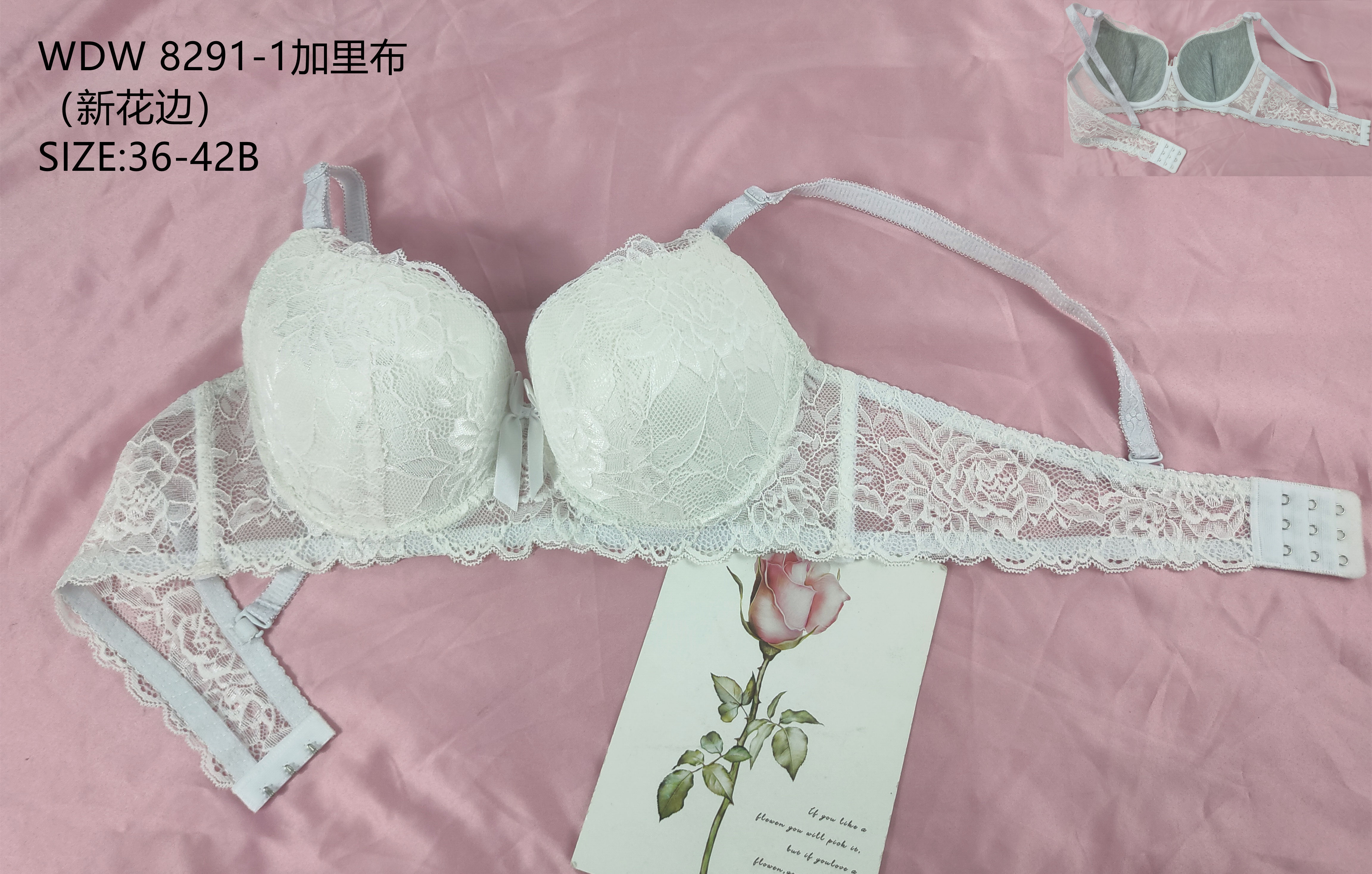 WDW8291-1加里布,bra