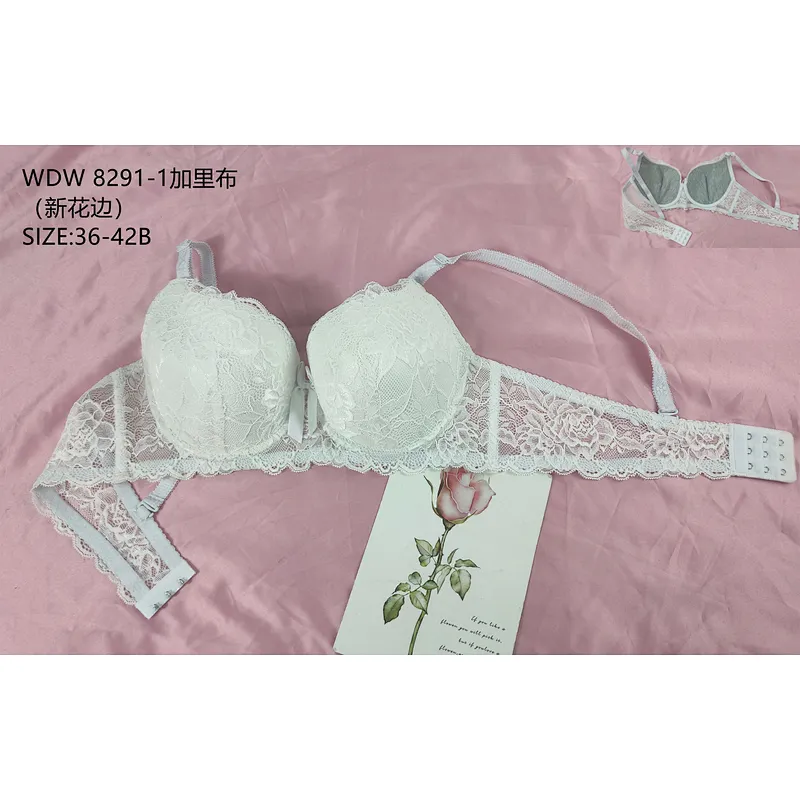WDW8291-1加里布,bra