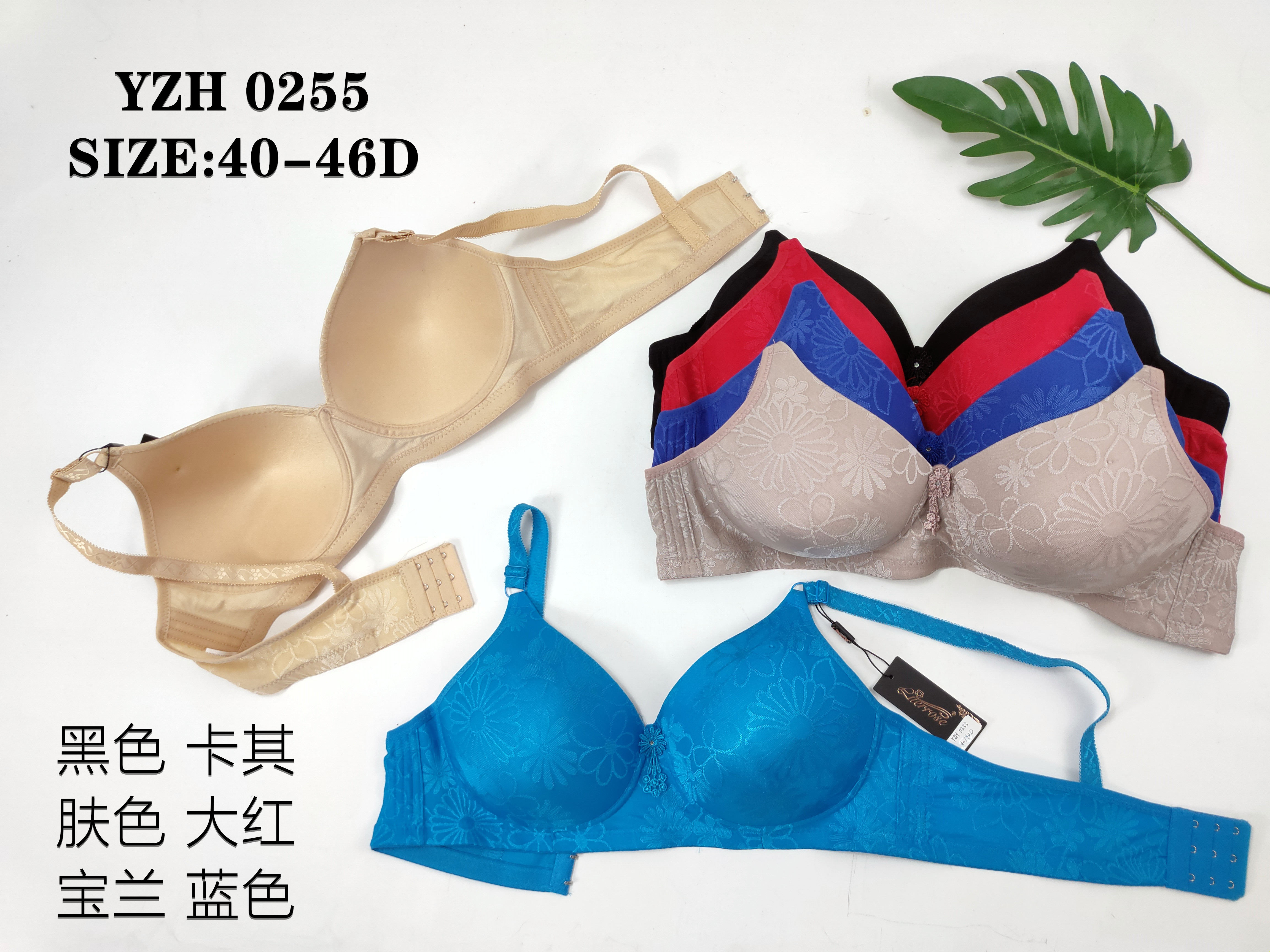 YZH0255,bra