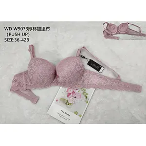 WDW9073厚杯加里布,bra