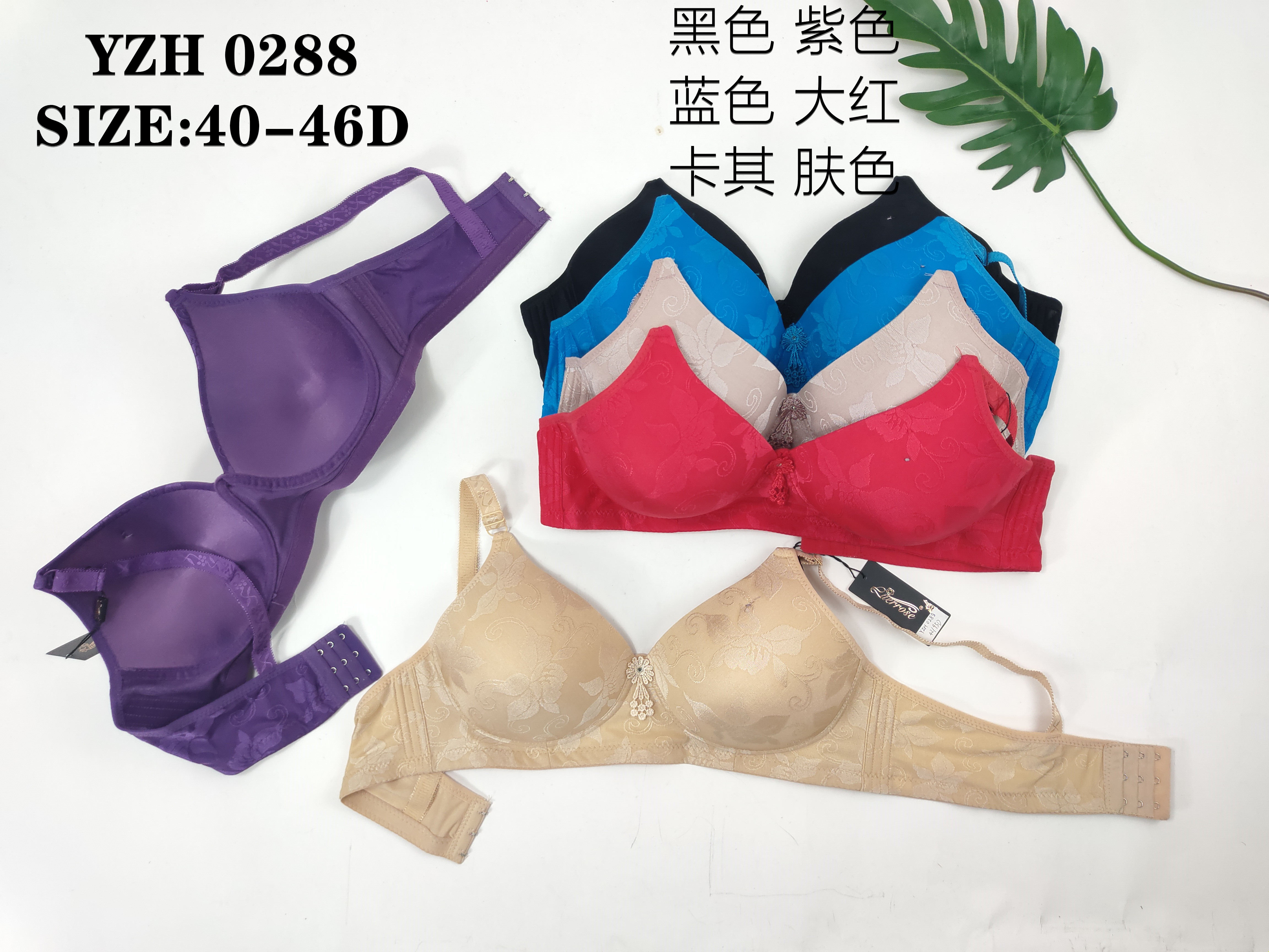 YZH0288,bra
