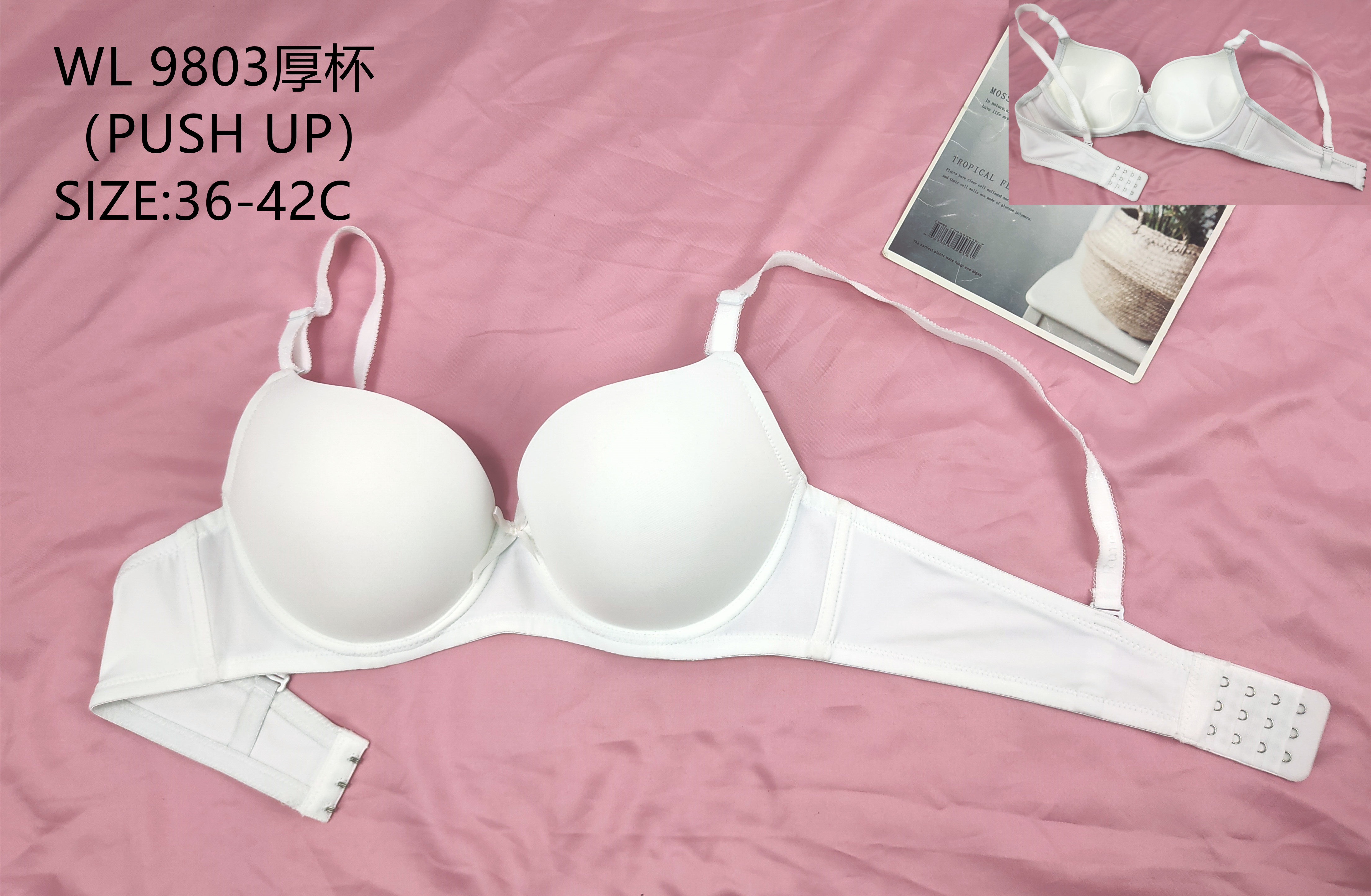WL9803C厚杯