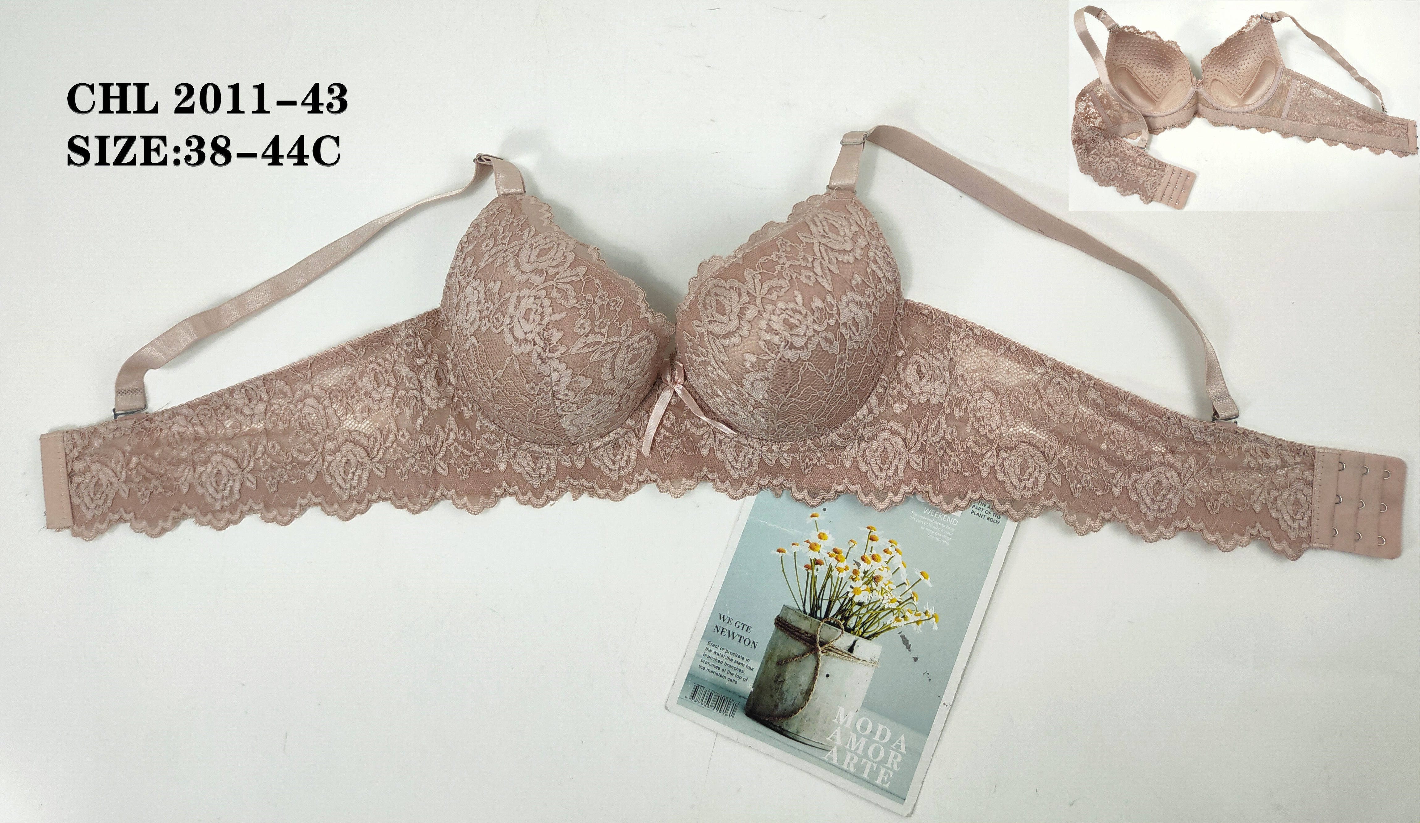 CHL2011-43,bra