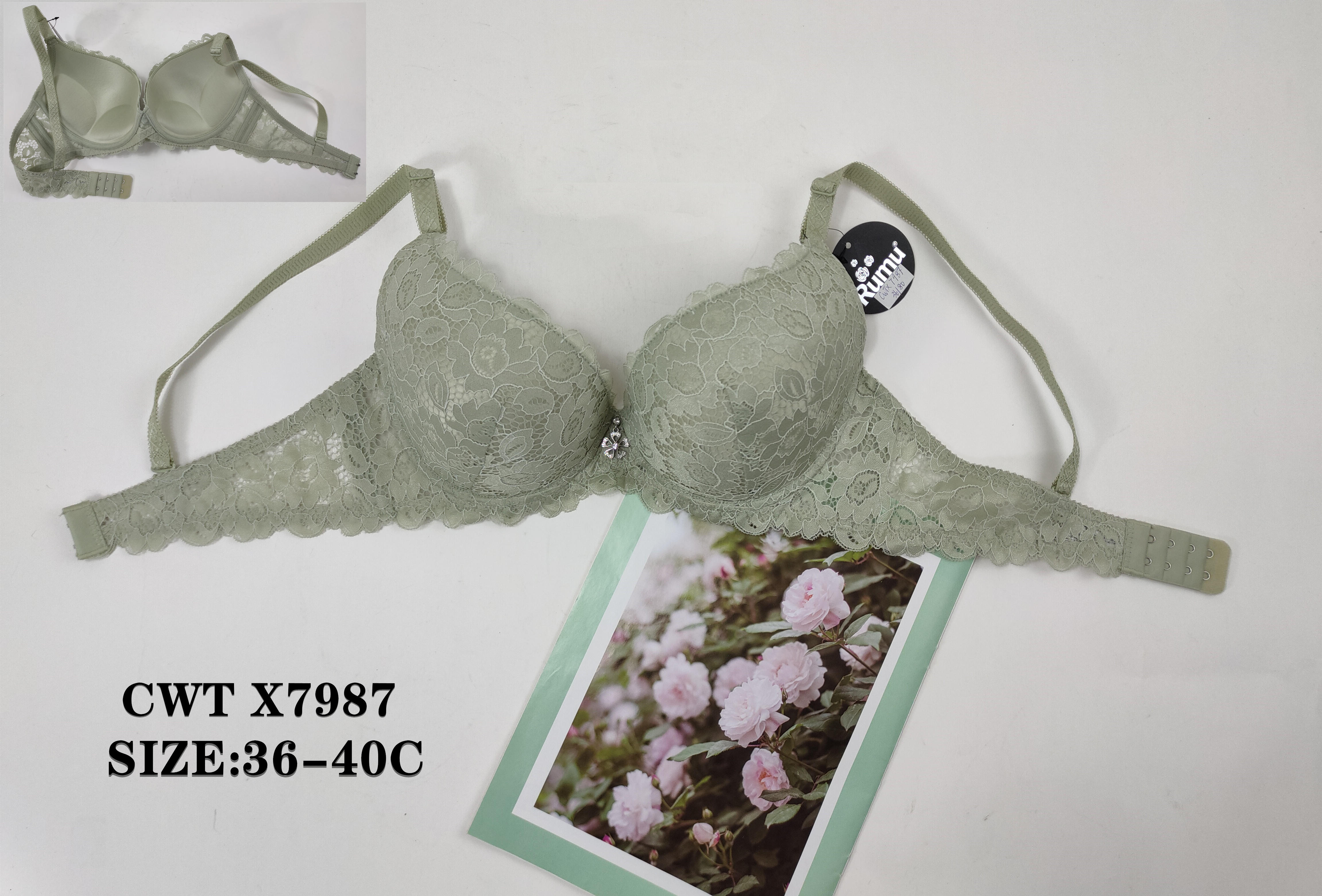 CWTX7987,bra