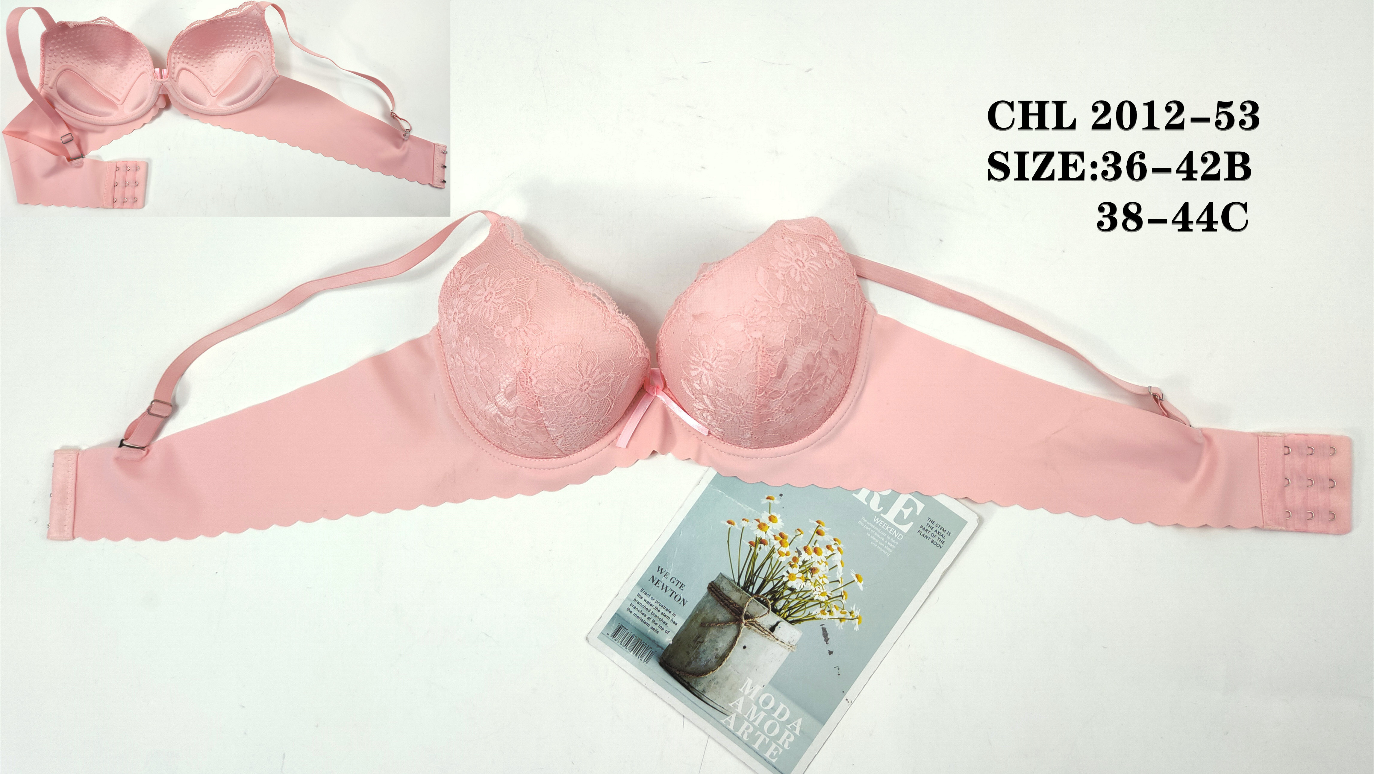CHL2012-53,bra