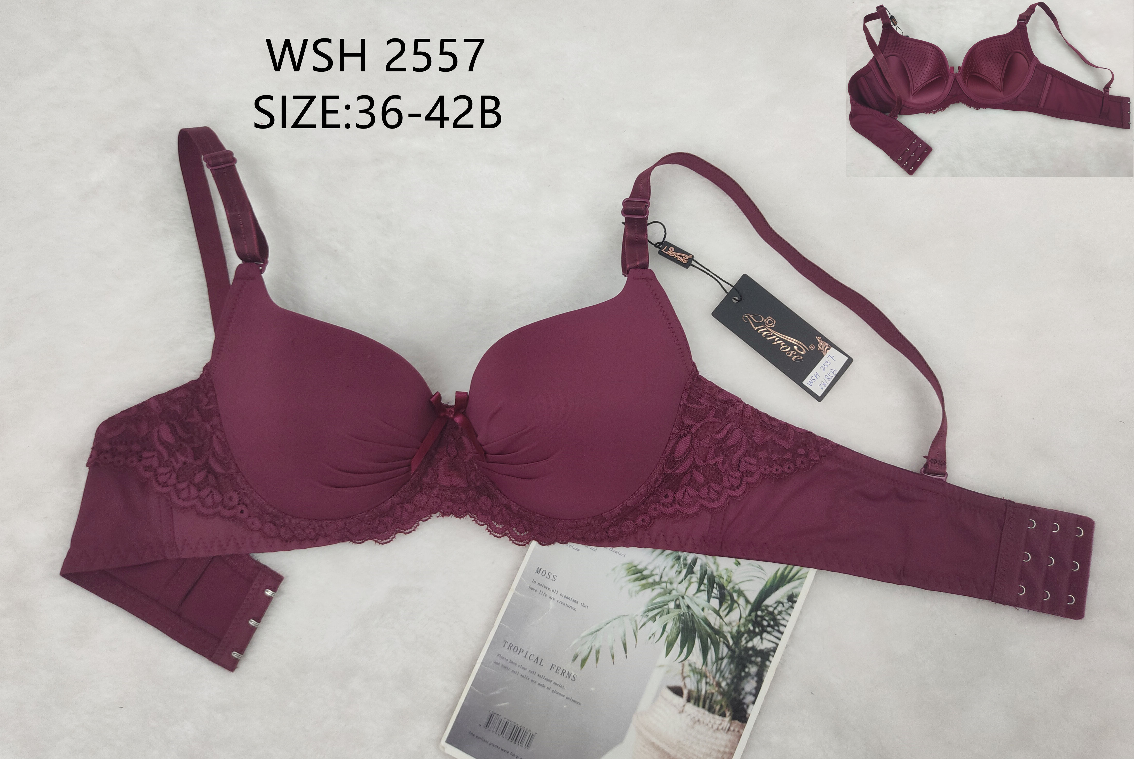 WSH2557,bra