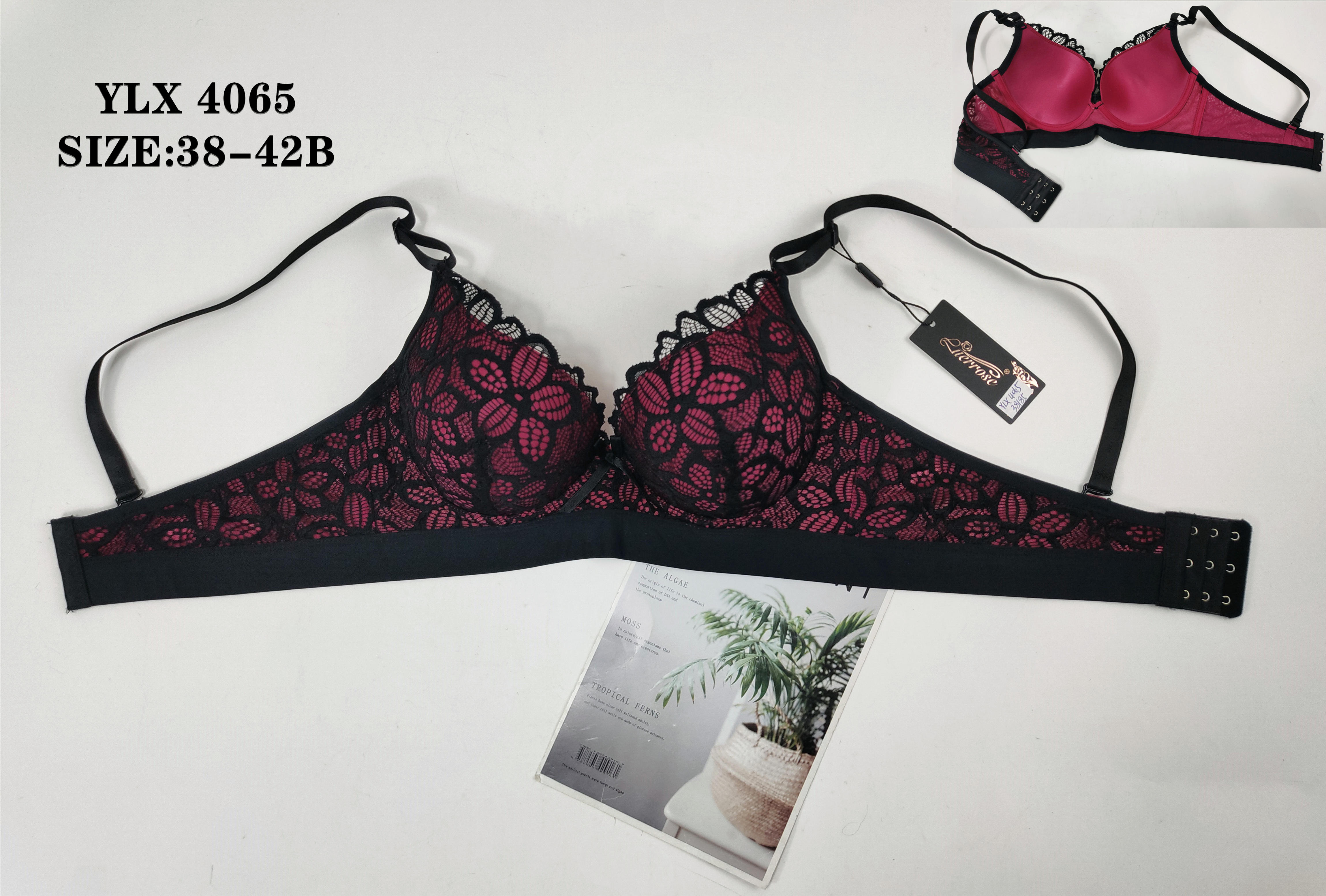 YLX4065,bra