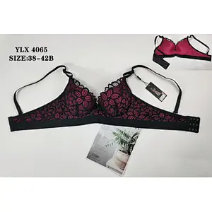 YLX4065,bra