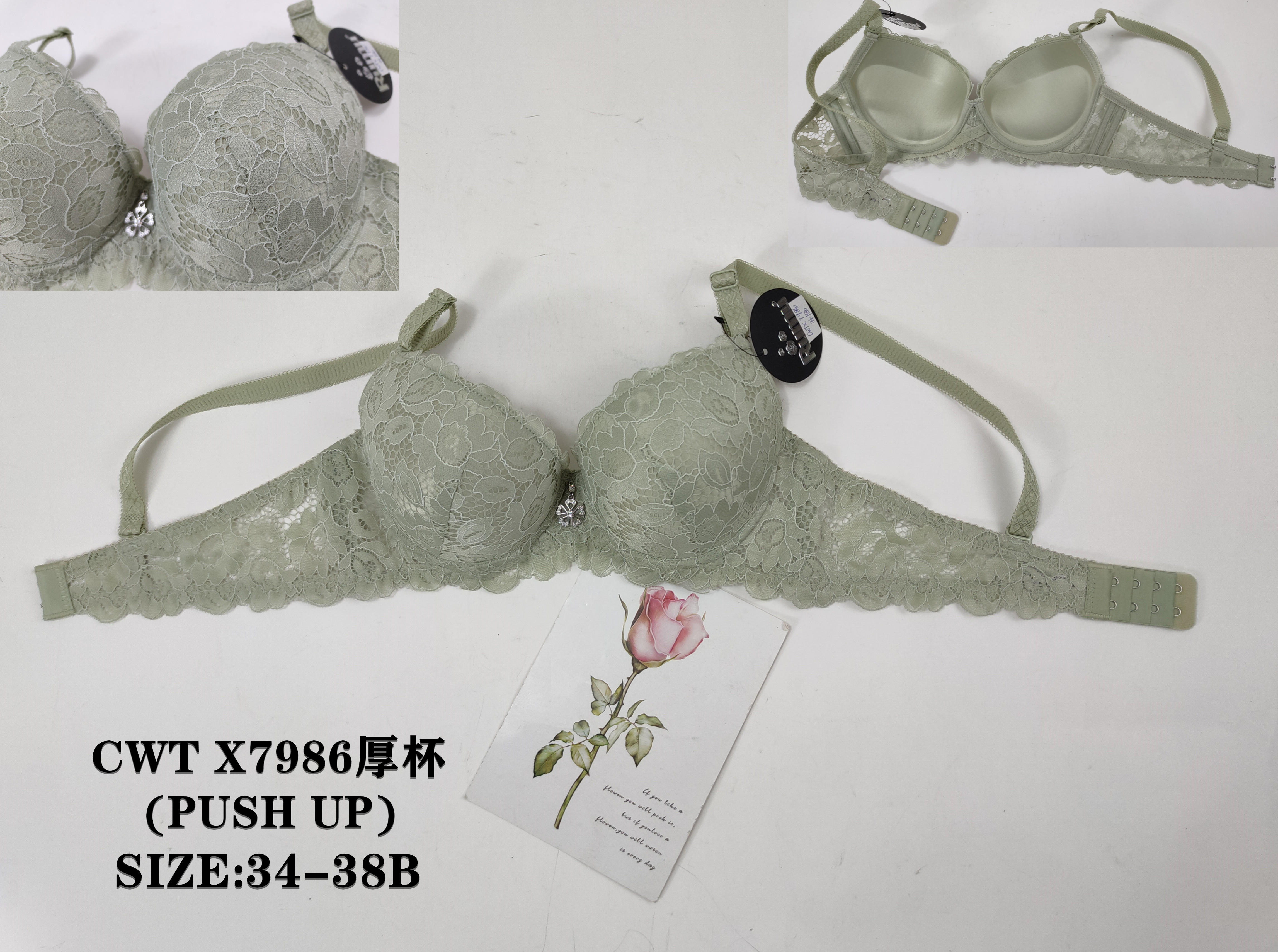 CWTX7986厚杯