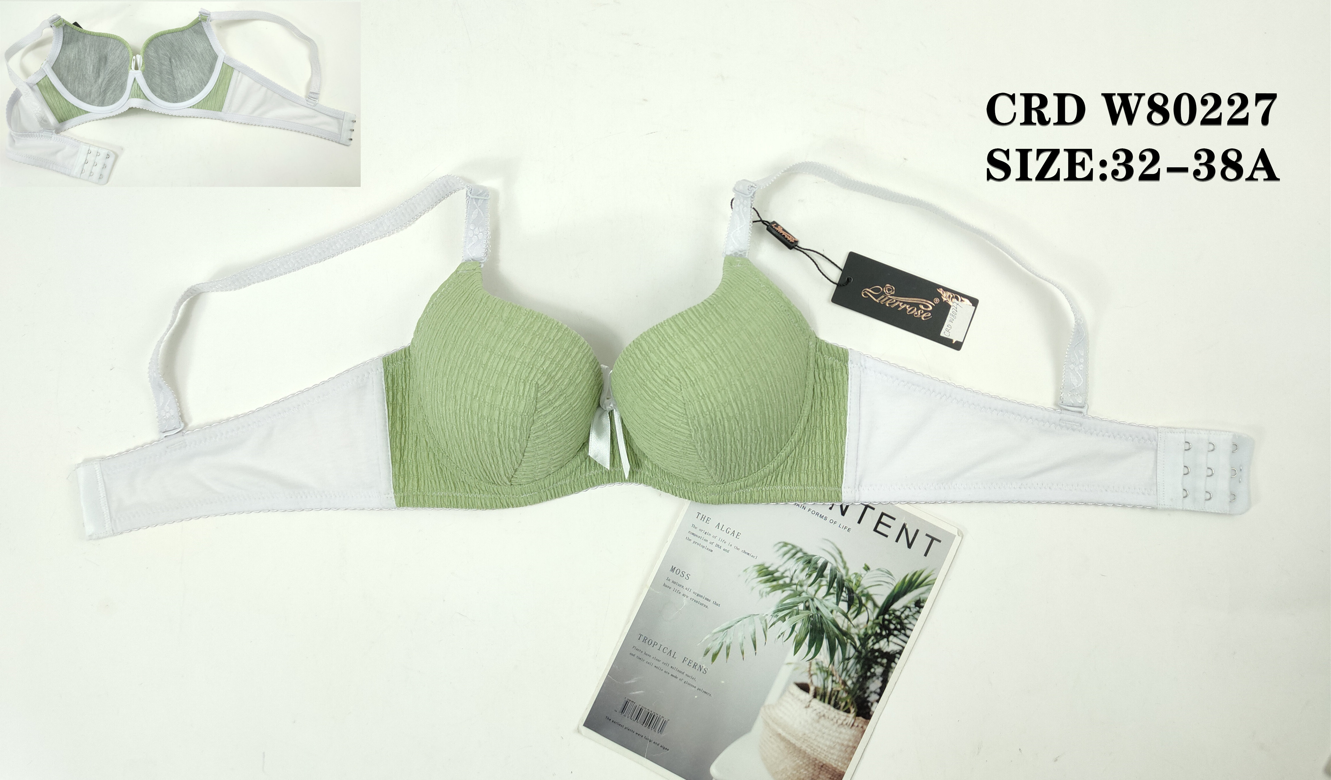 CRDW80227,bra