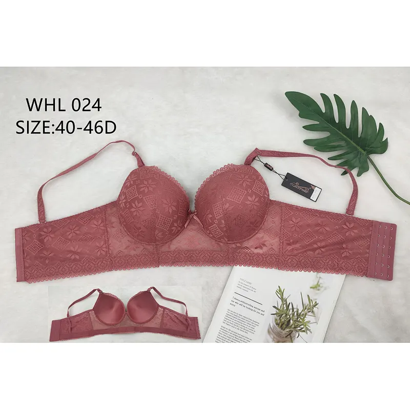 WHL024D