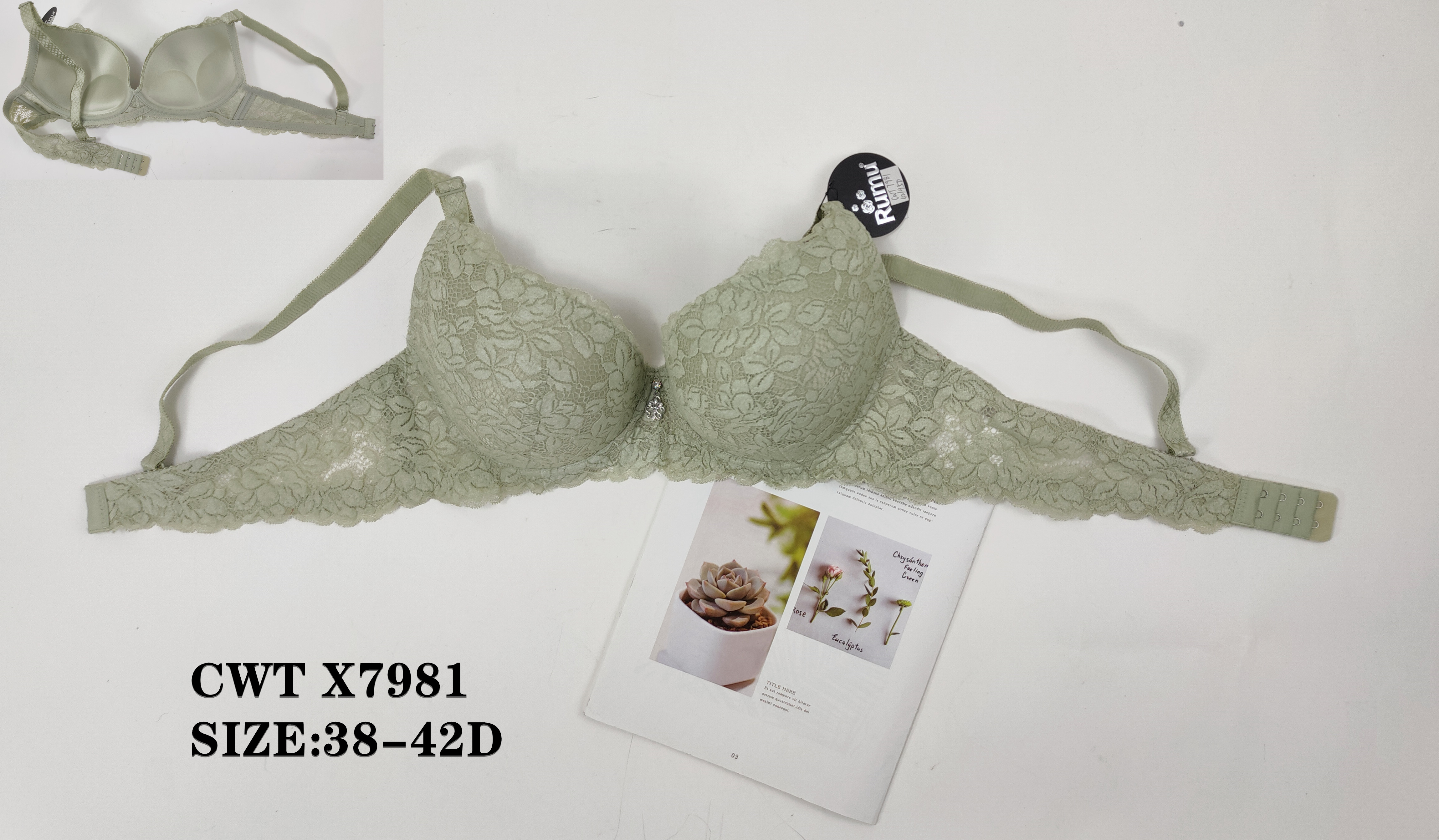 CWTX7981,bra
