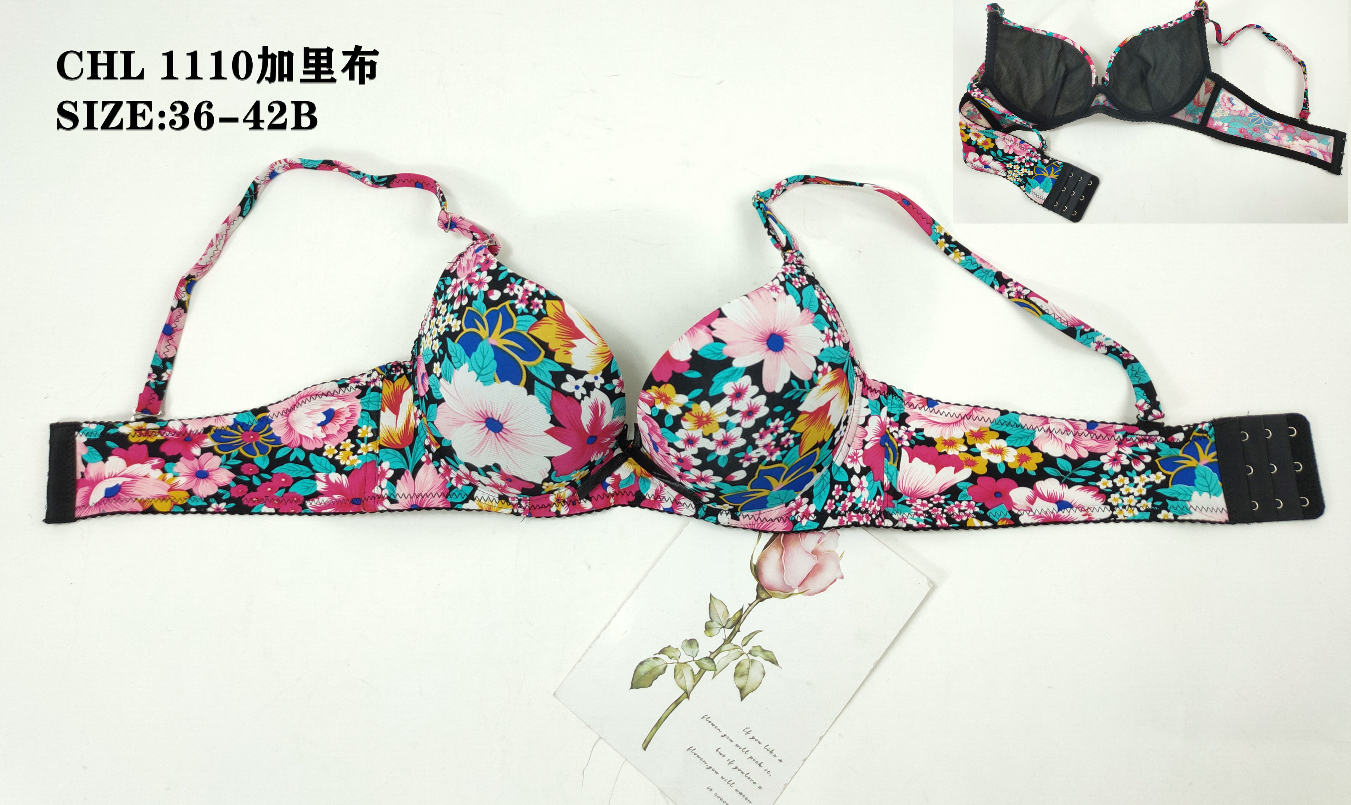 CHL1110加里布,bra