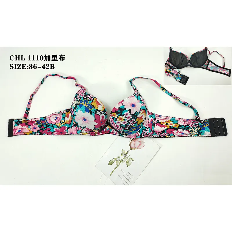 CHL1110加里布,bra
