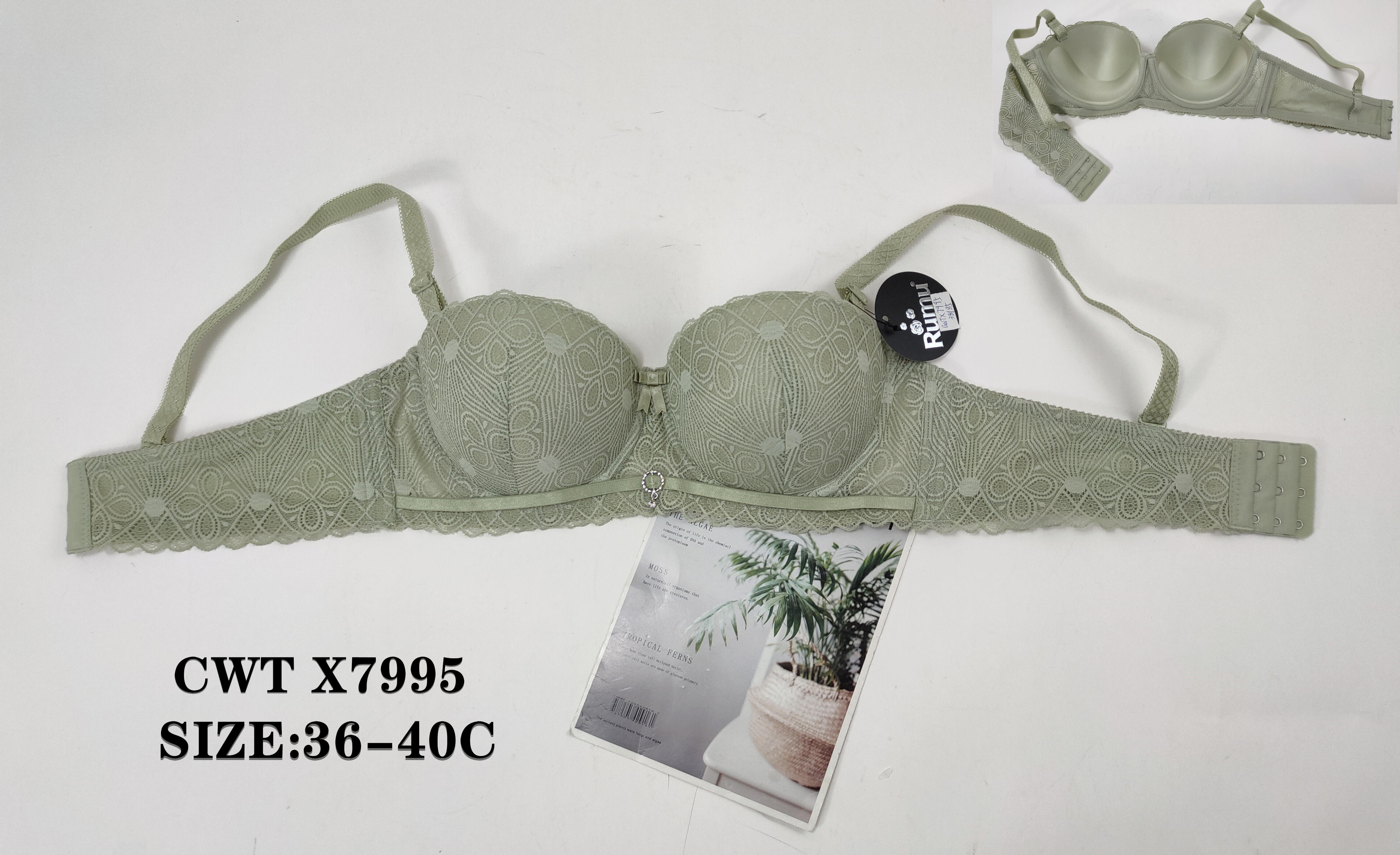 CWTX7995,bra
