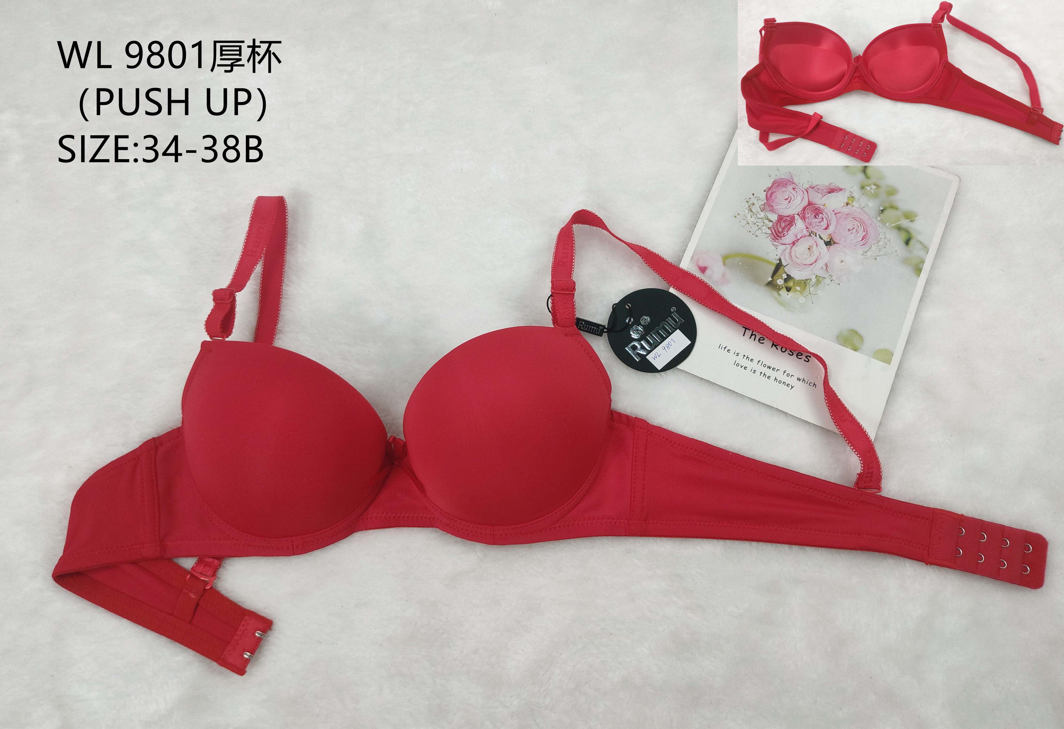 WL9801B厚杯