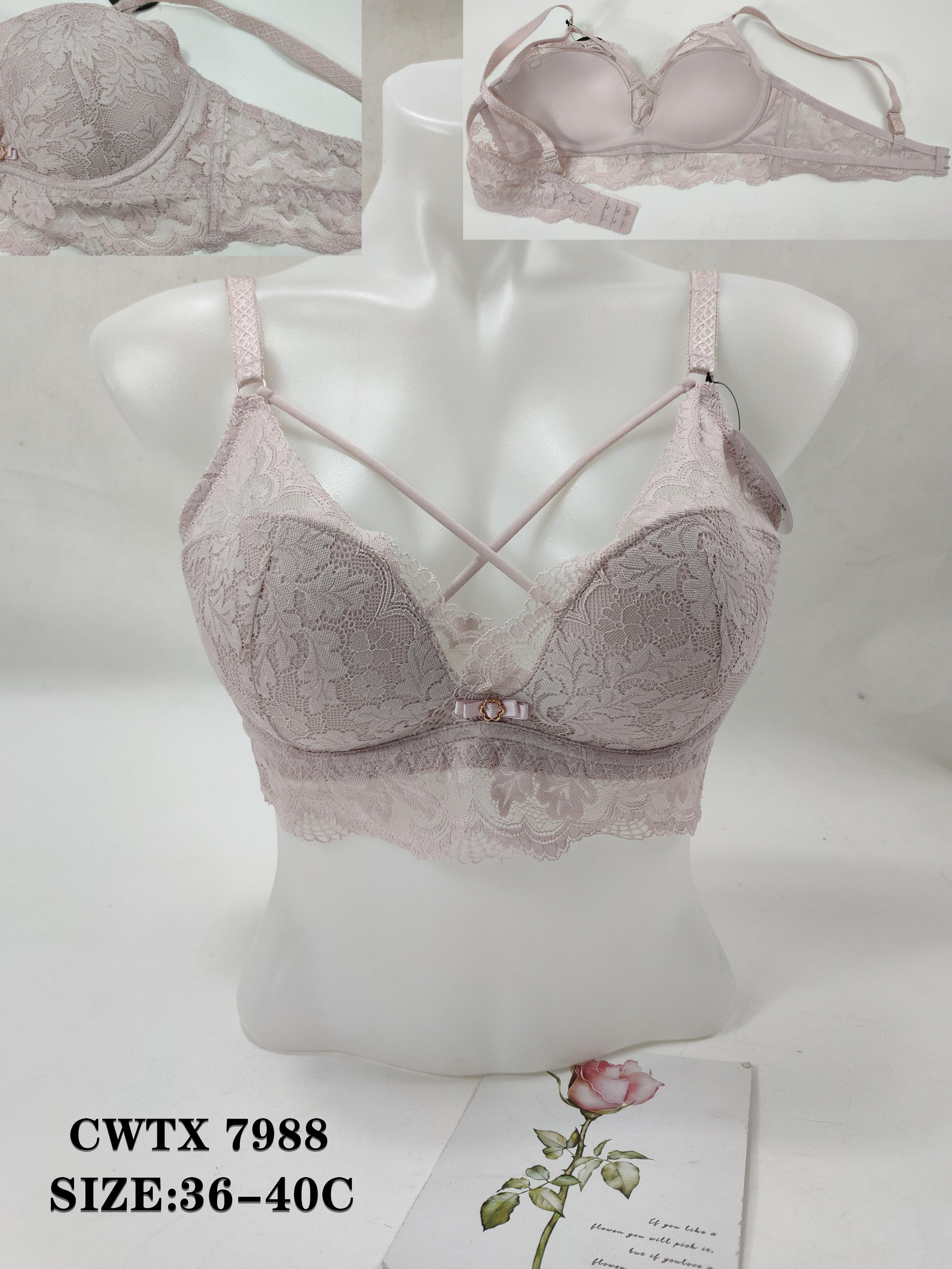 CWTX7988,bra