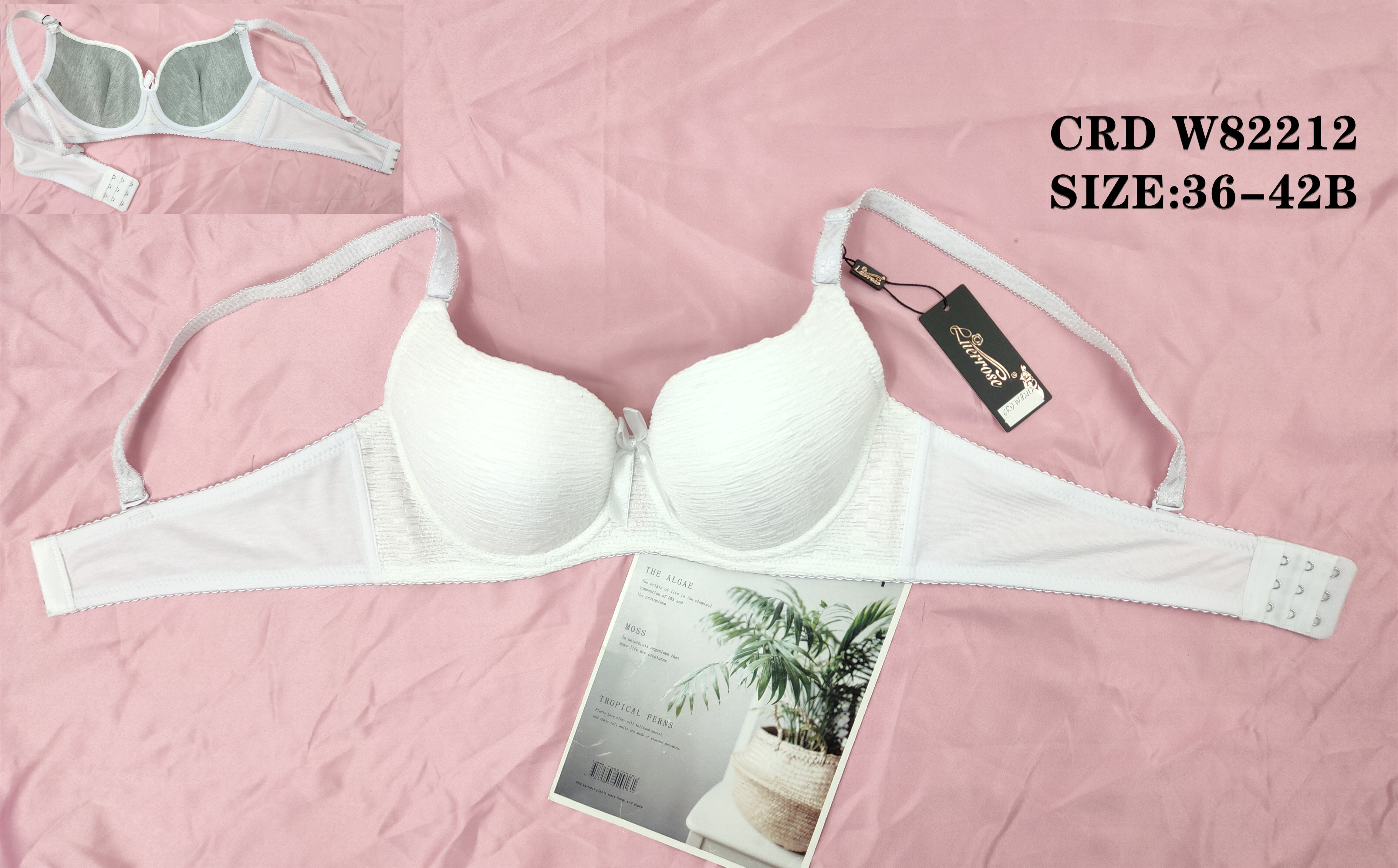 CRDW82212,bra
