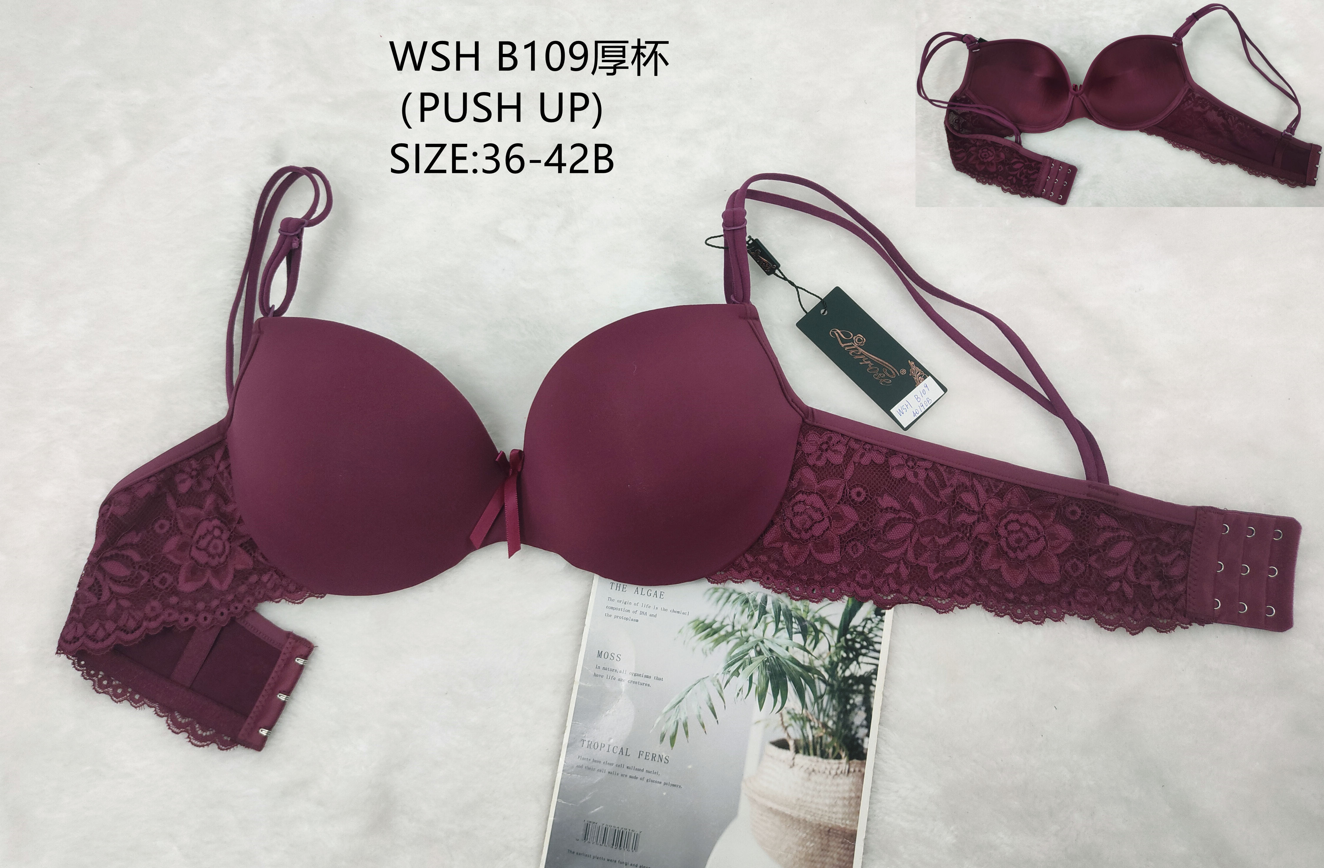 WSHB109厚杯