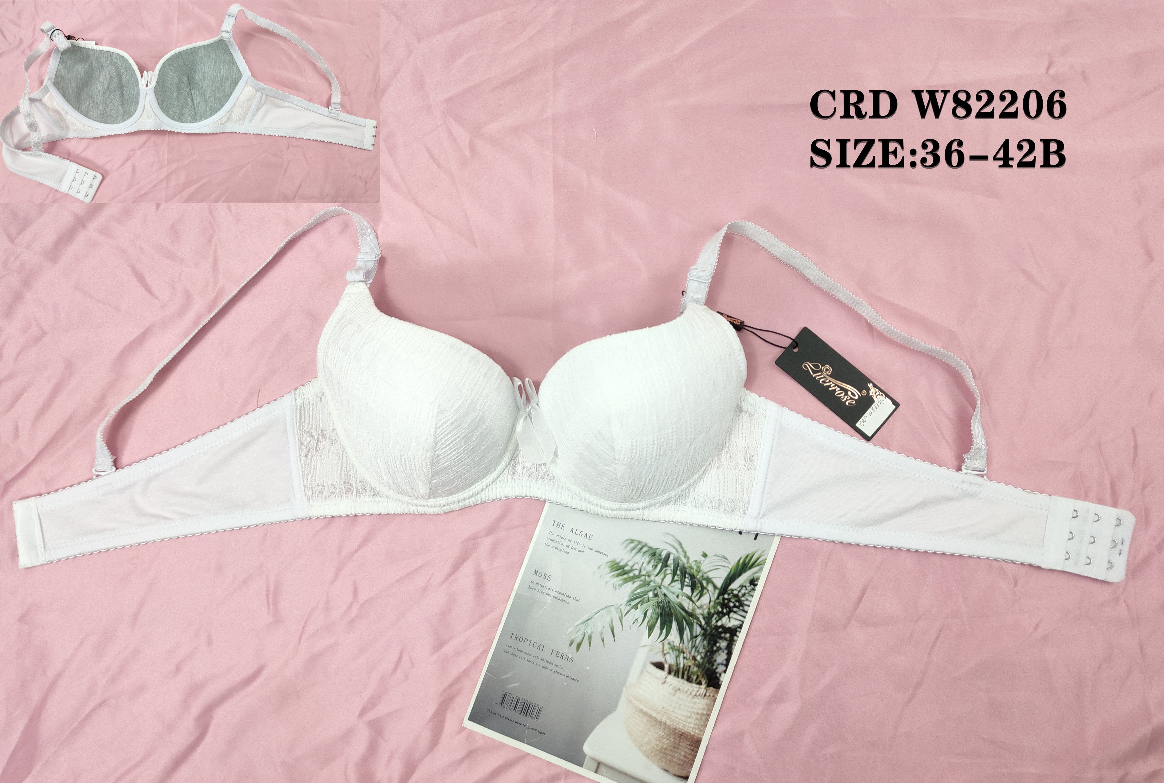 CRDW82206,bra