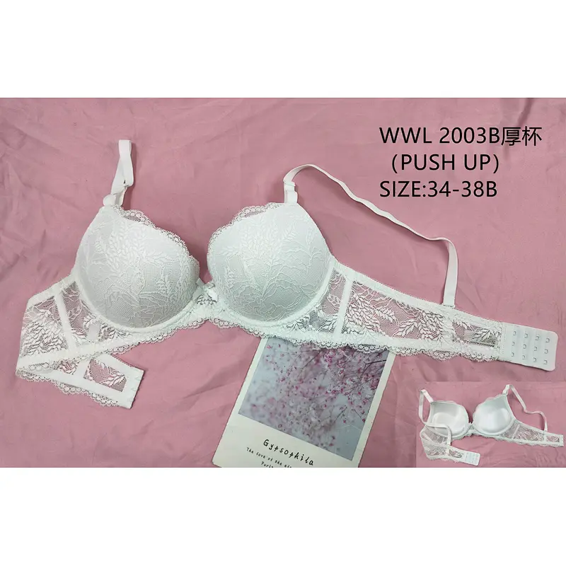 WWL2003B厚杯