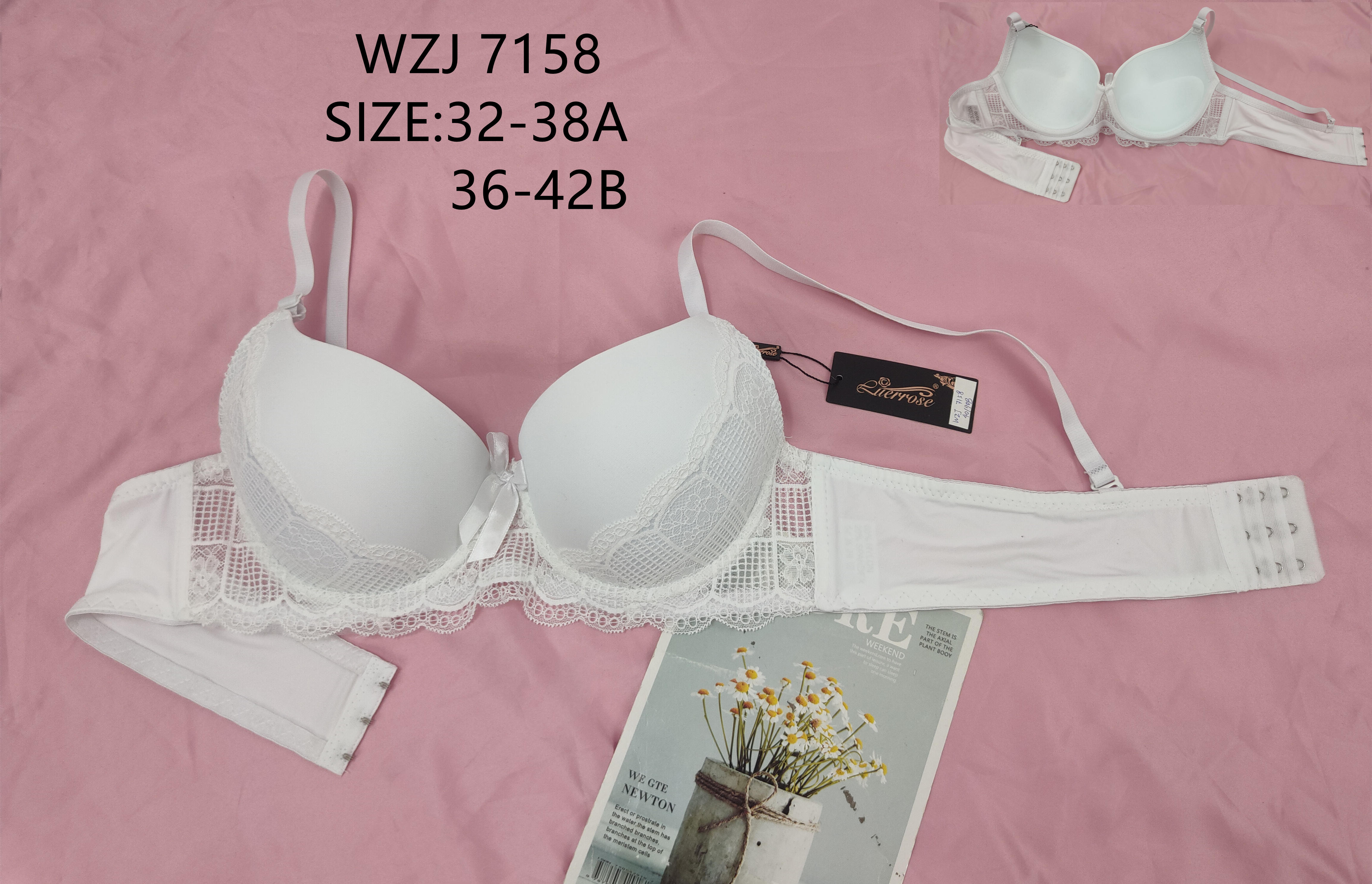 WZJ7158，bra