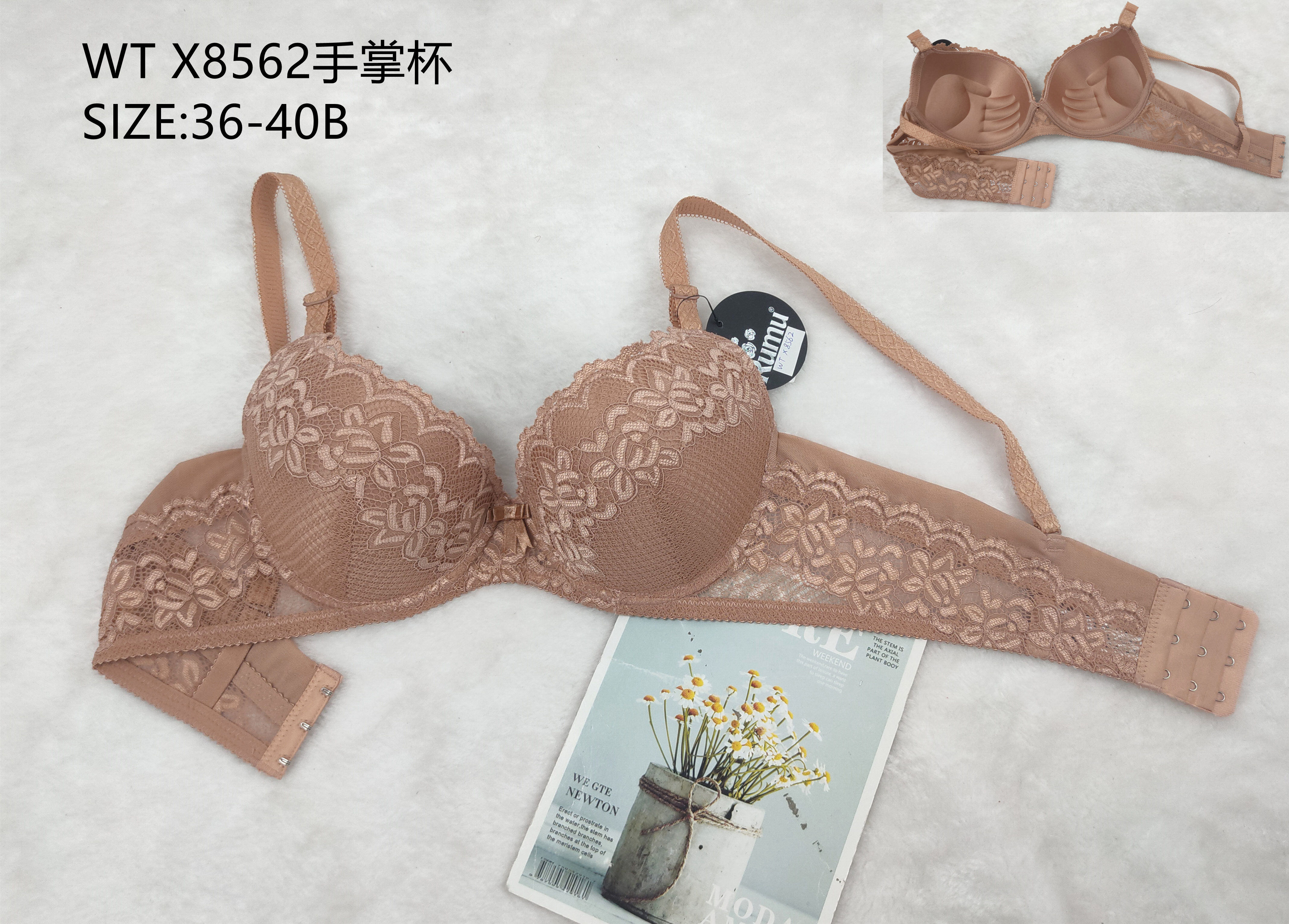 WTX8562手掌杯,bra