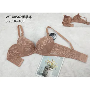 WTX8562手掌杯,bra