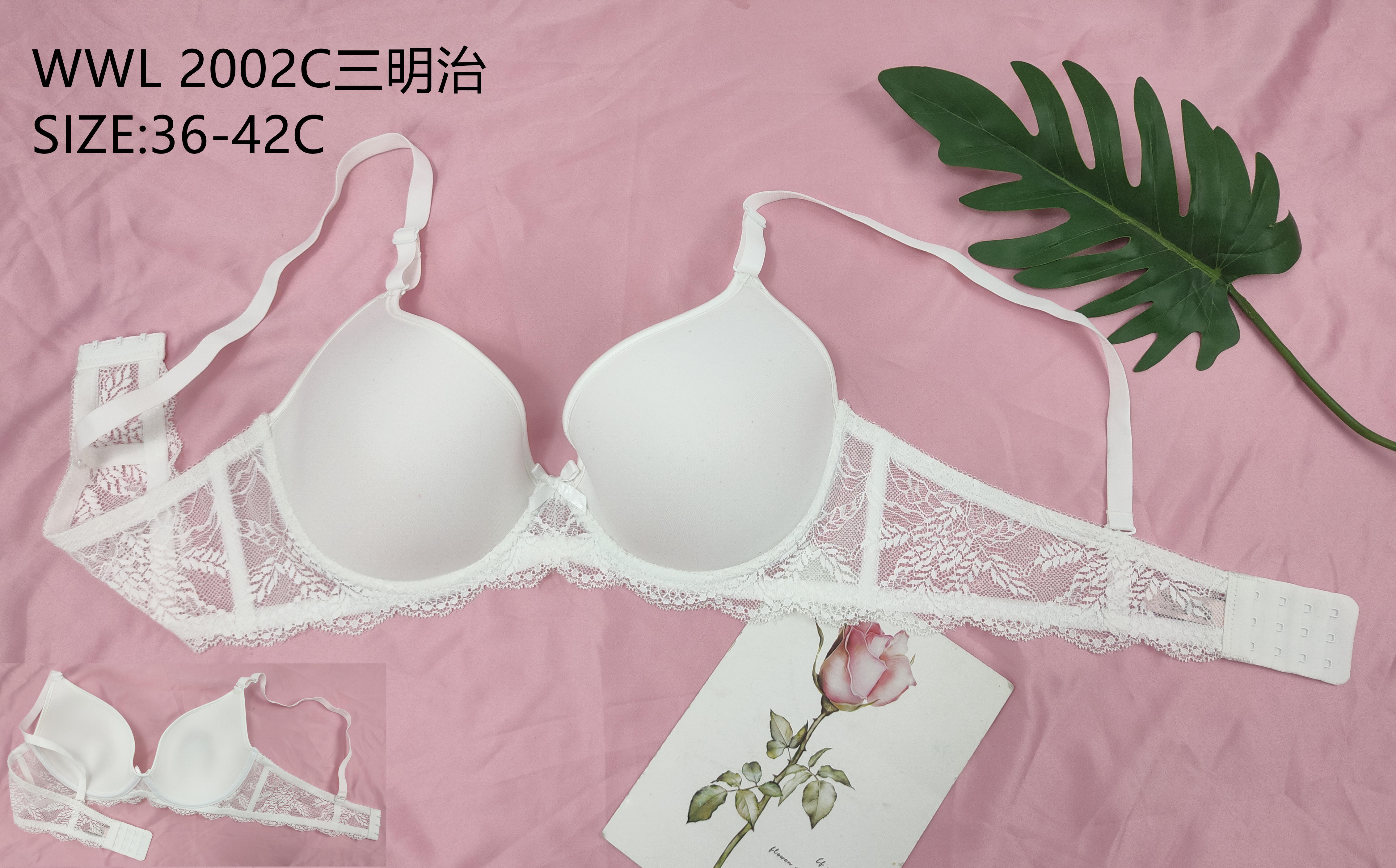 WWL2002C三明治
