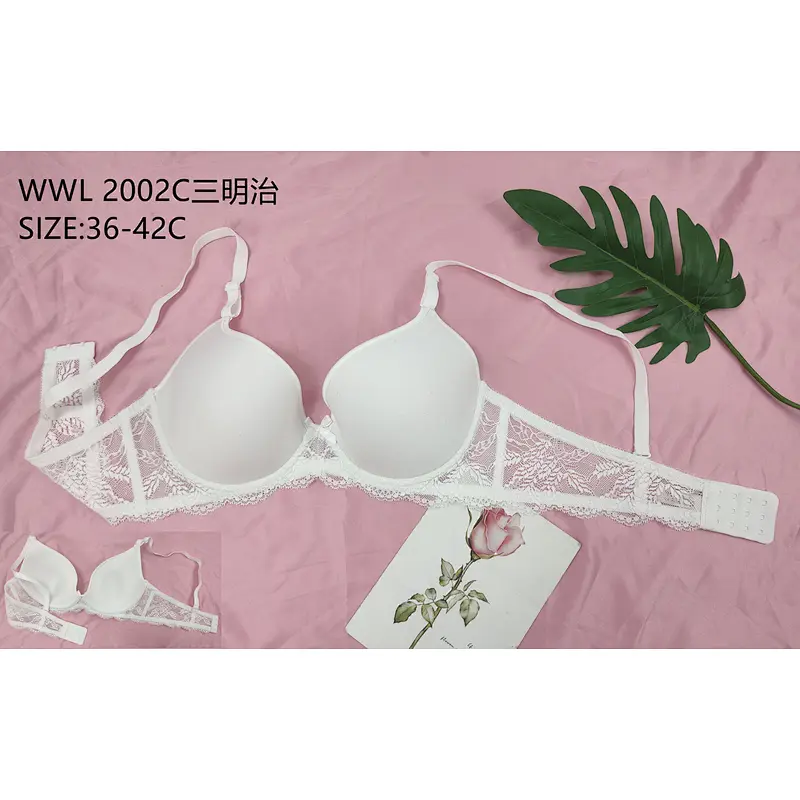 WWL2002C三明治