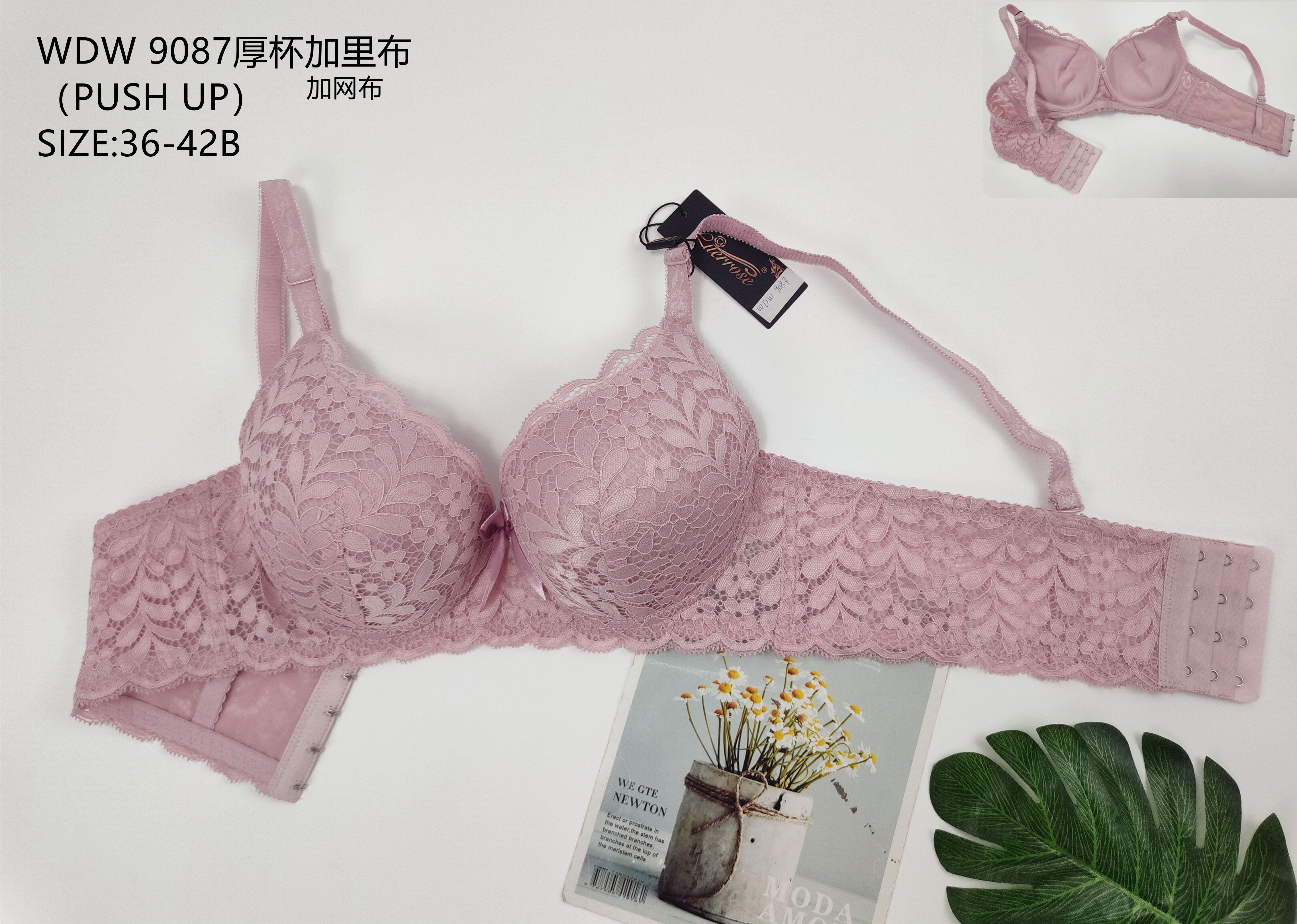 WDW9087厚杯加里布,bra