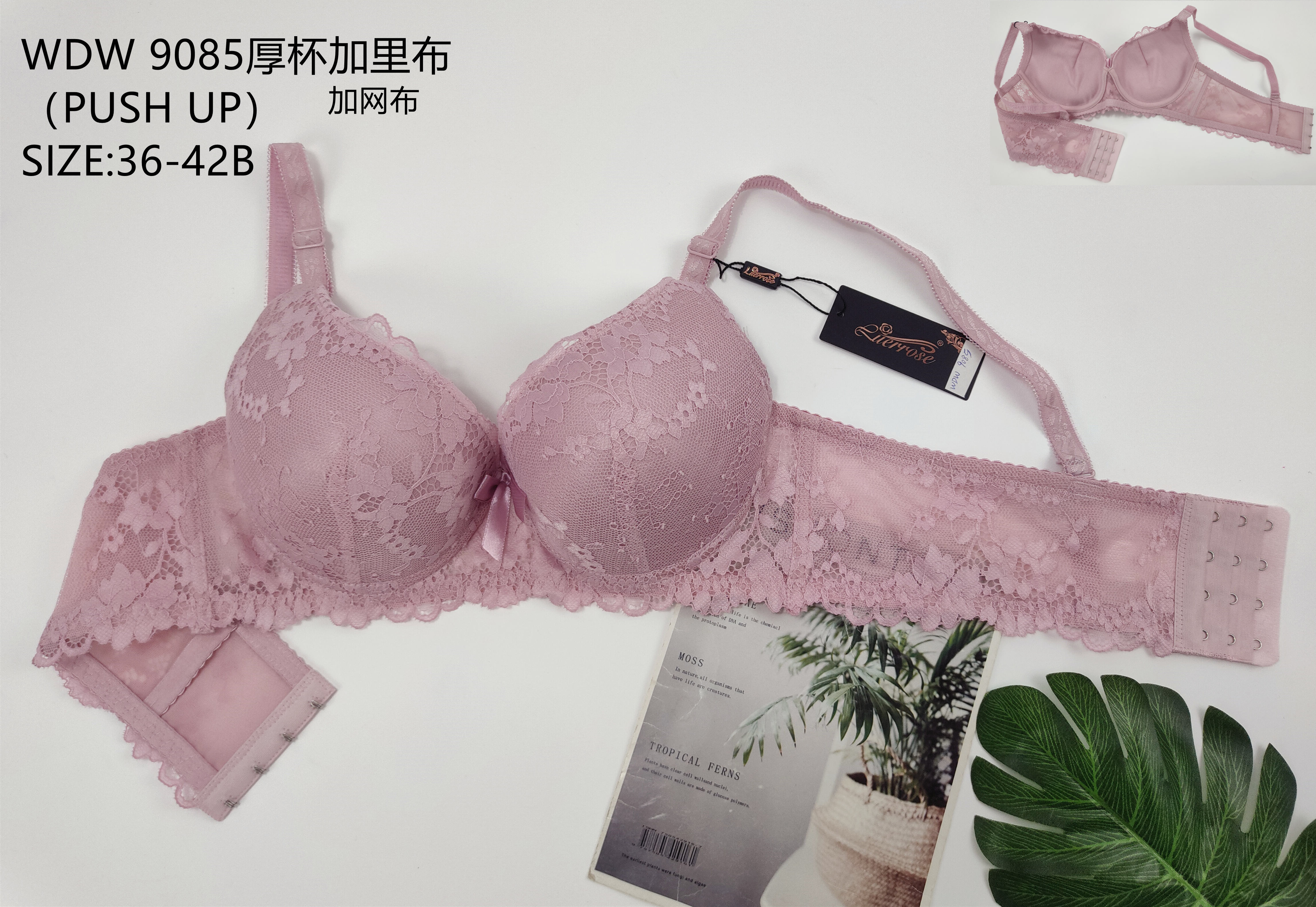 WDW9085厚杯加里布,bra