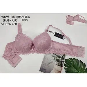 WDW9085厚杯加里布,bra