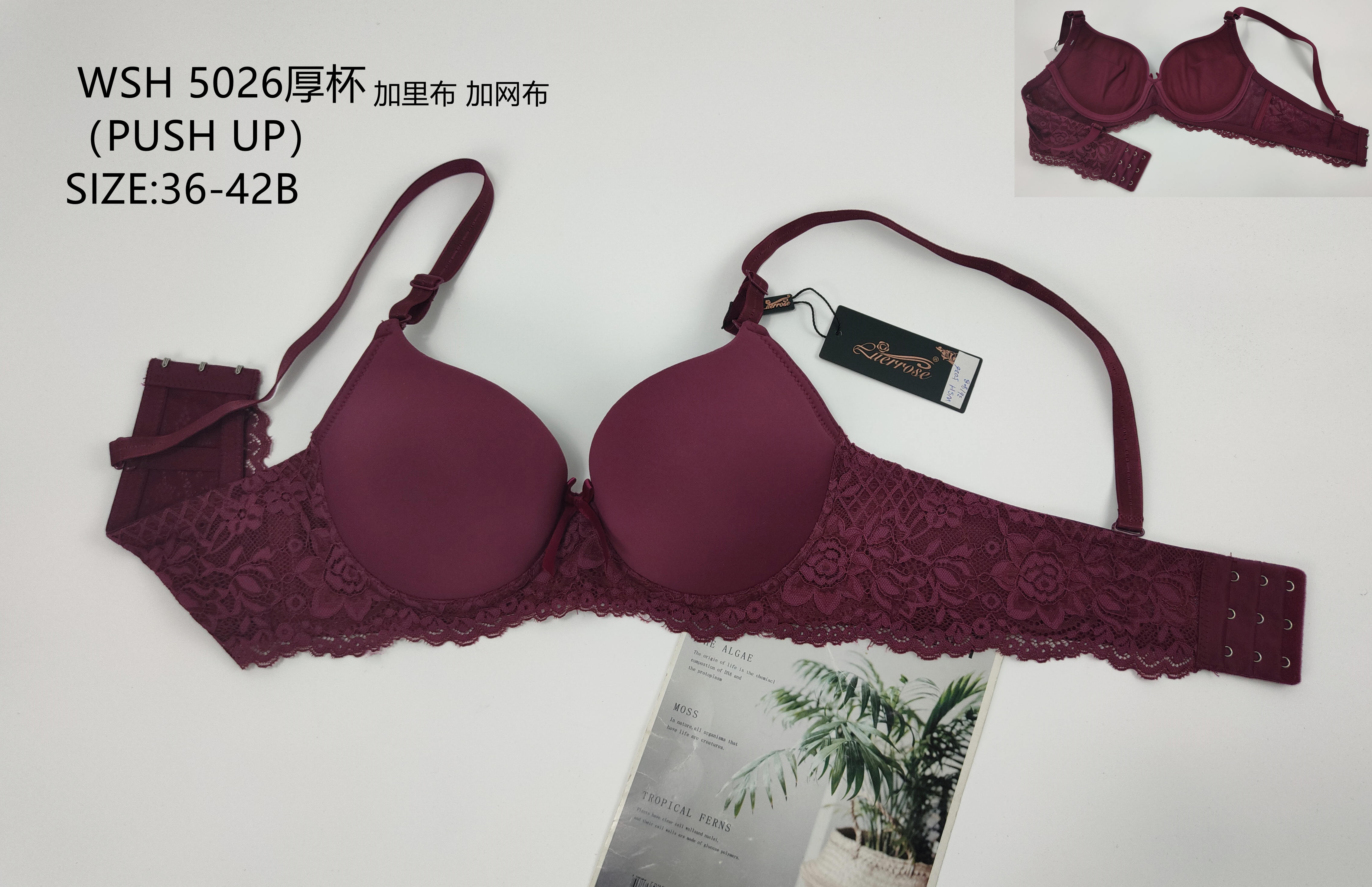 WSH5026厚杯加里布,bra