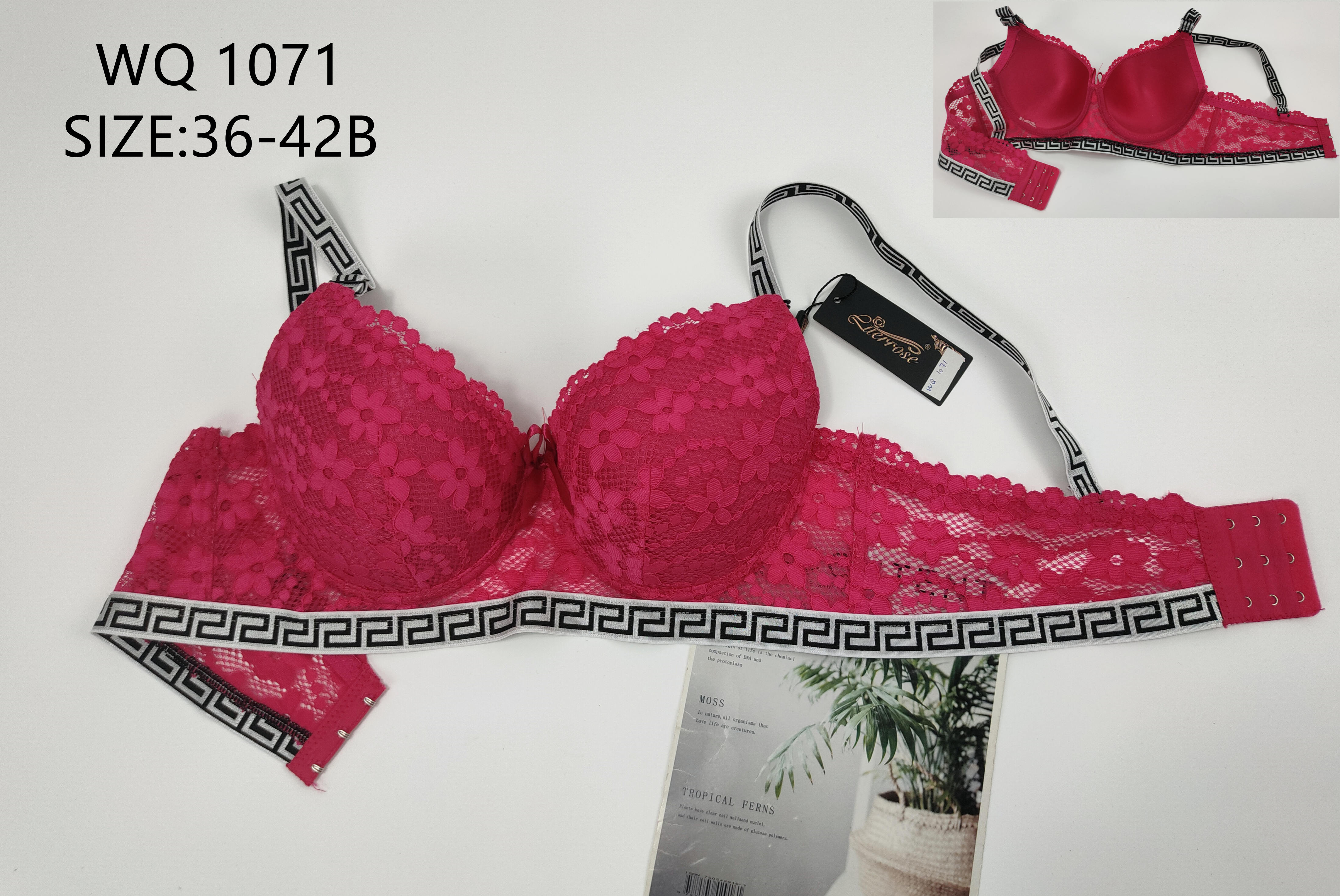 WQ1071，bra