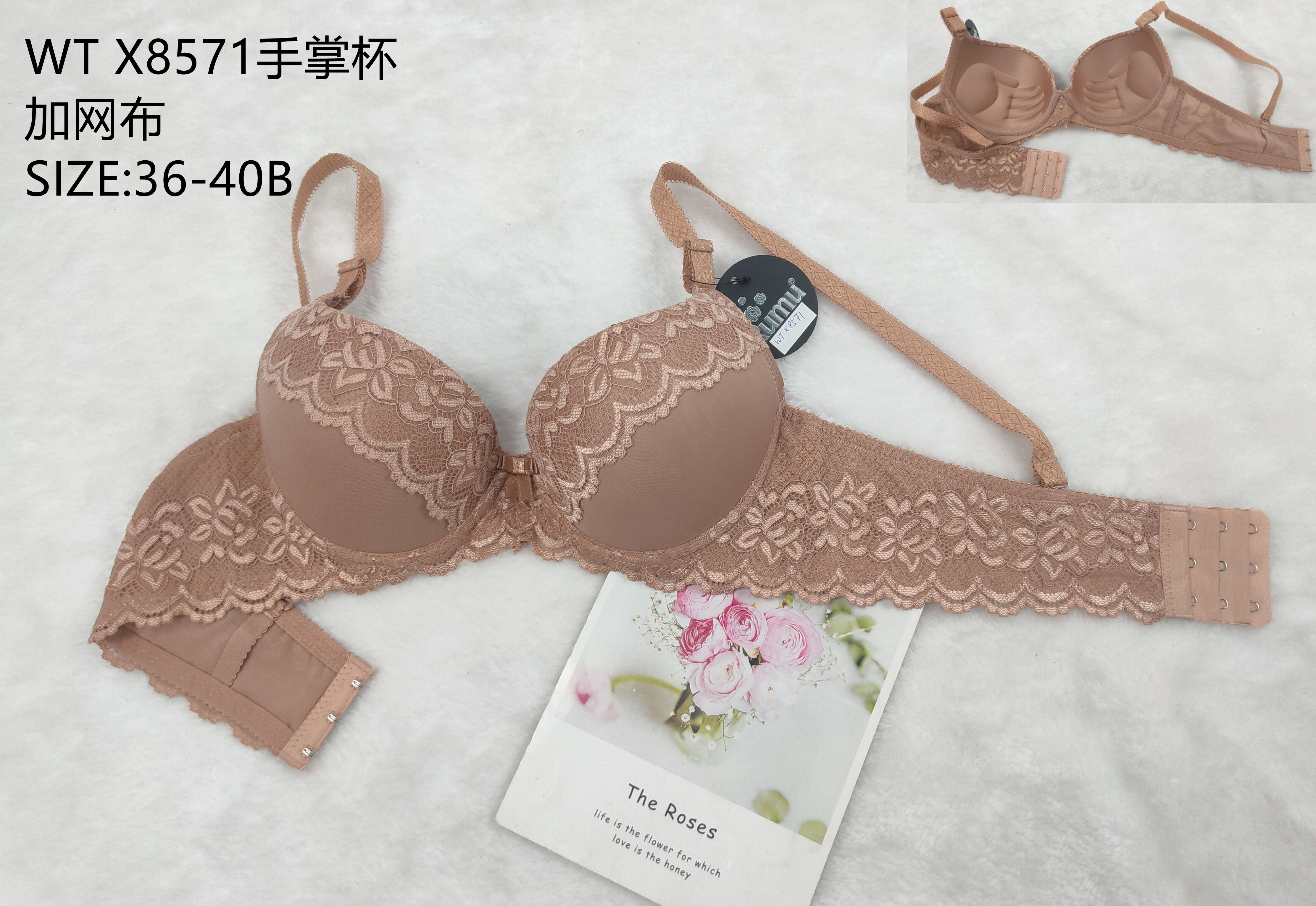 WTX8571手掌杯,bra