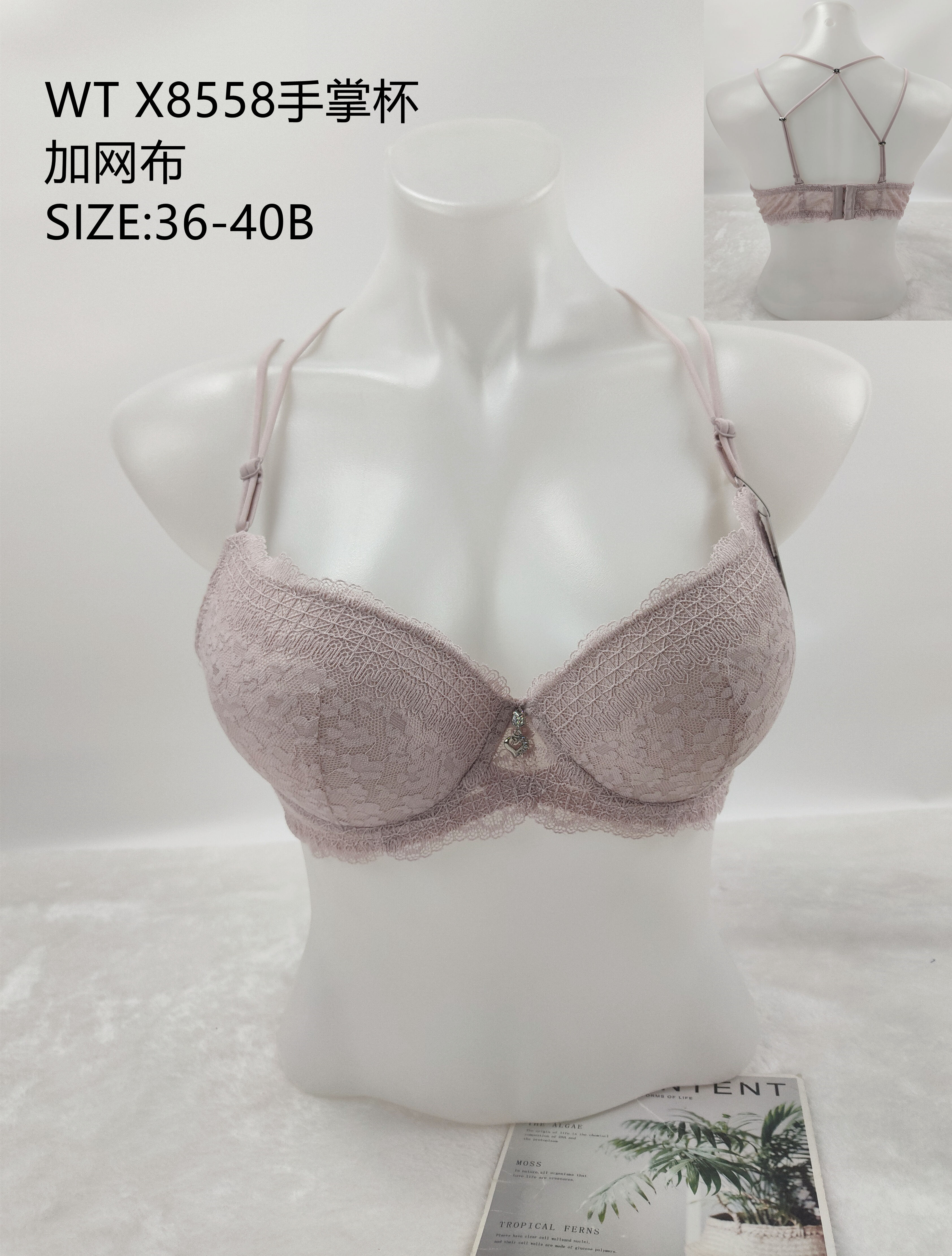 WTX8558手掌杯,bra
