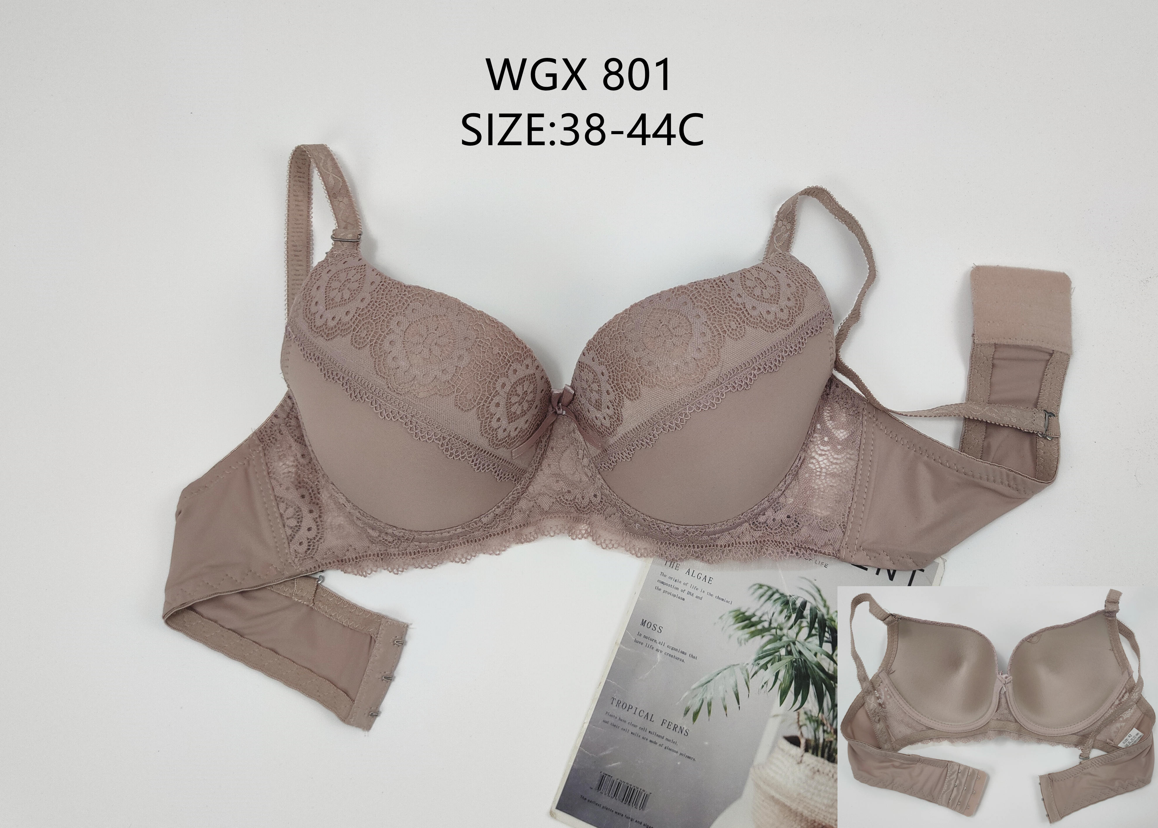 WGX801，bra