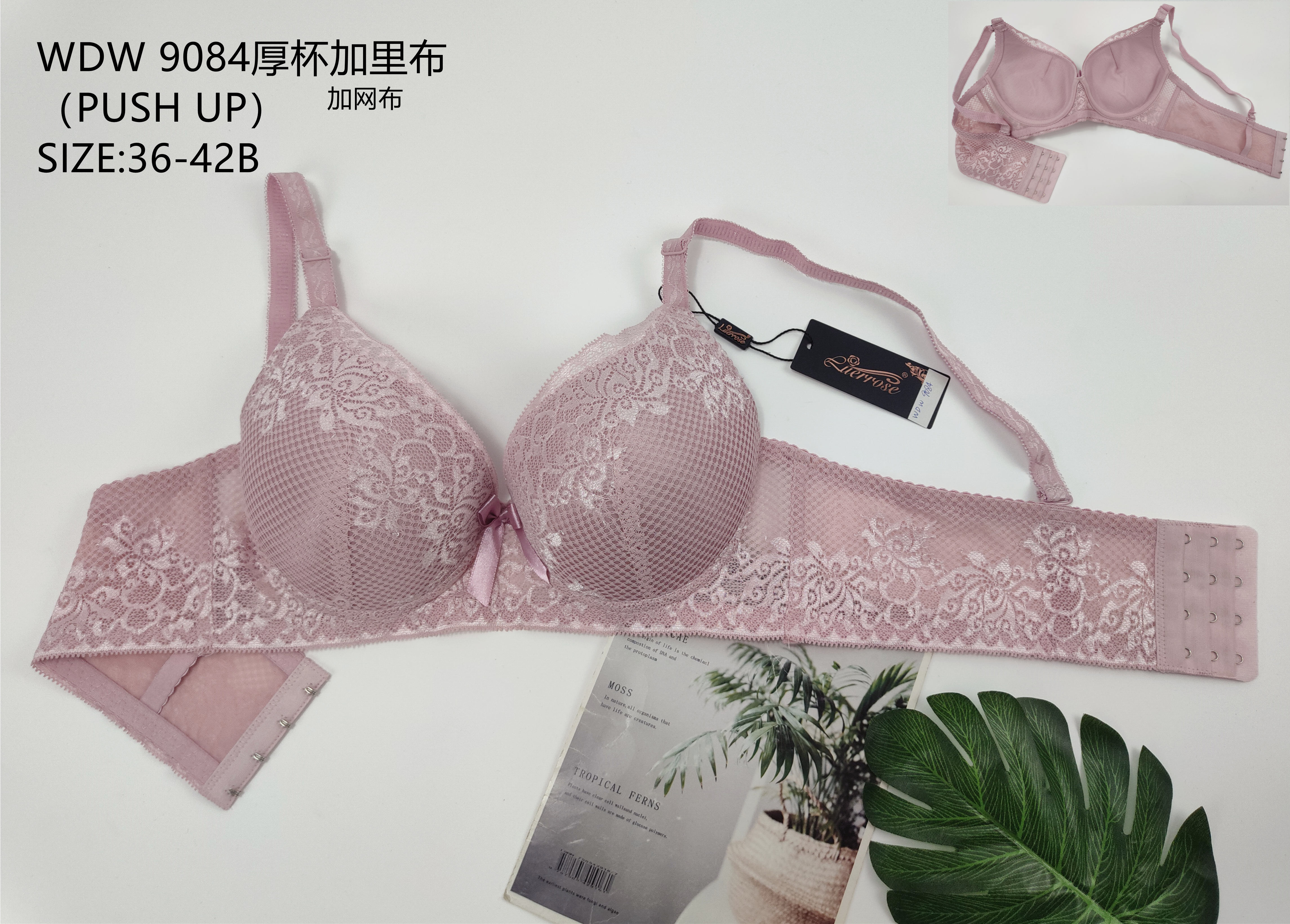 WDW9084厚杯加里布,bra