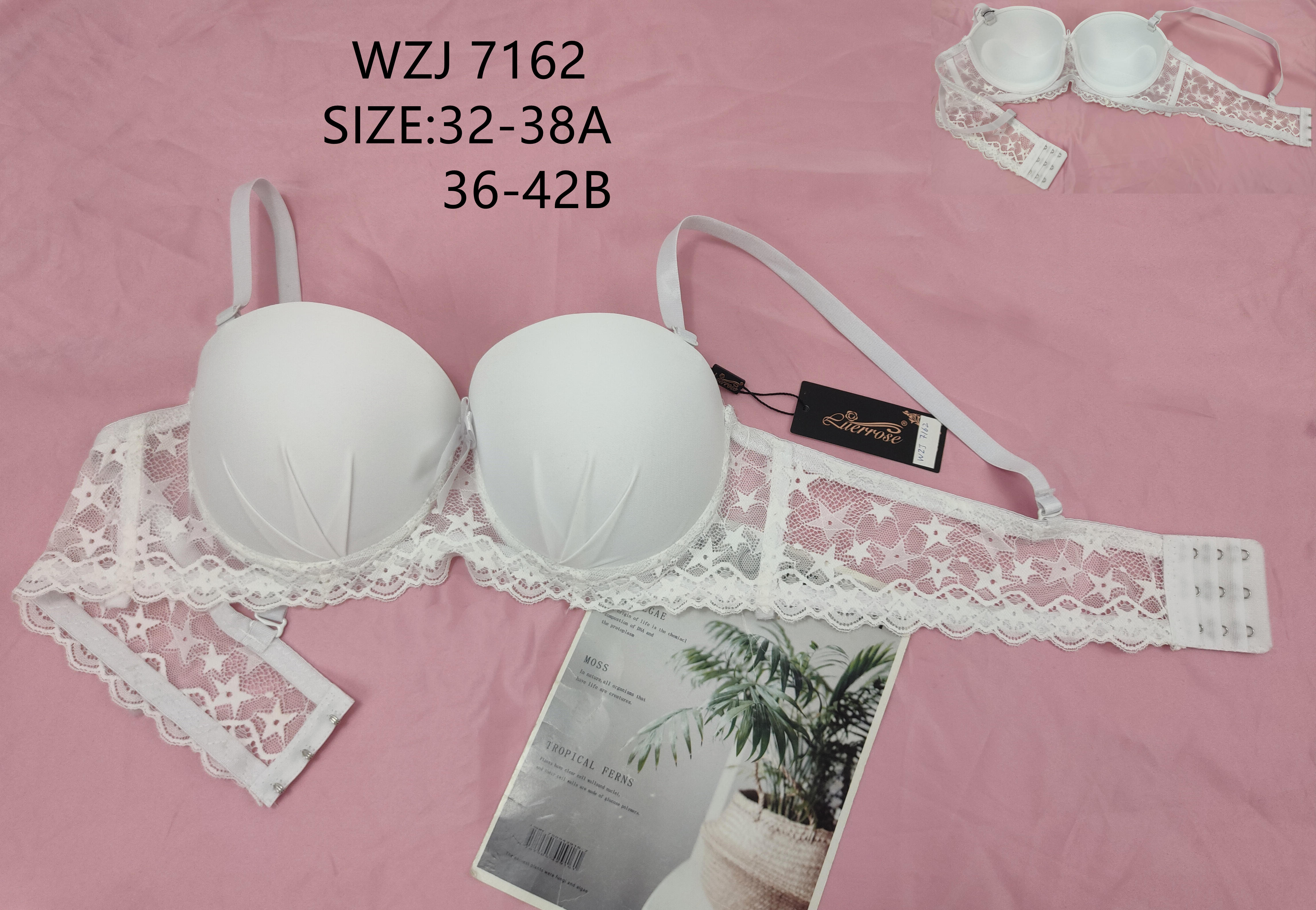 WZJ7162，bra