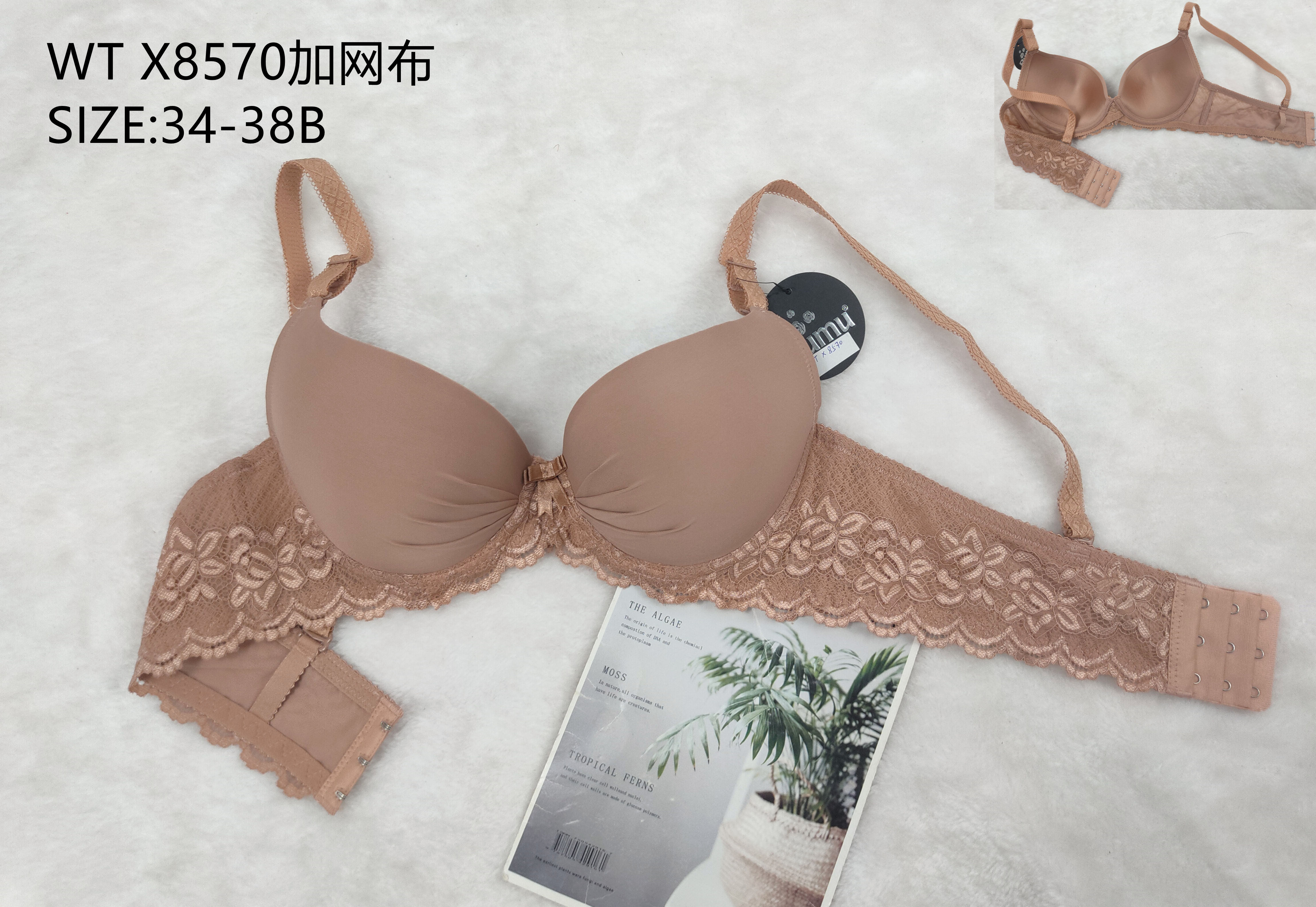 WTX8570，bra