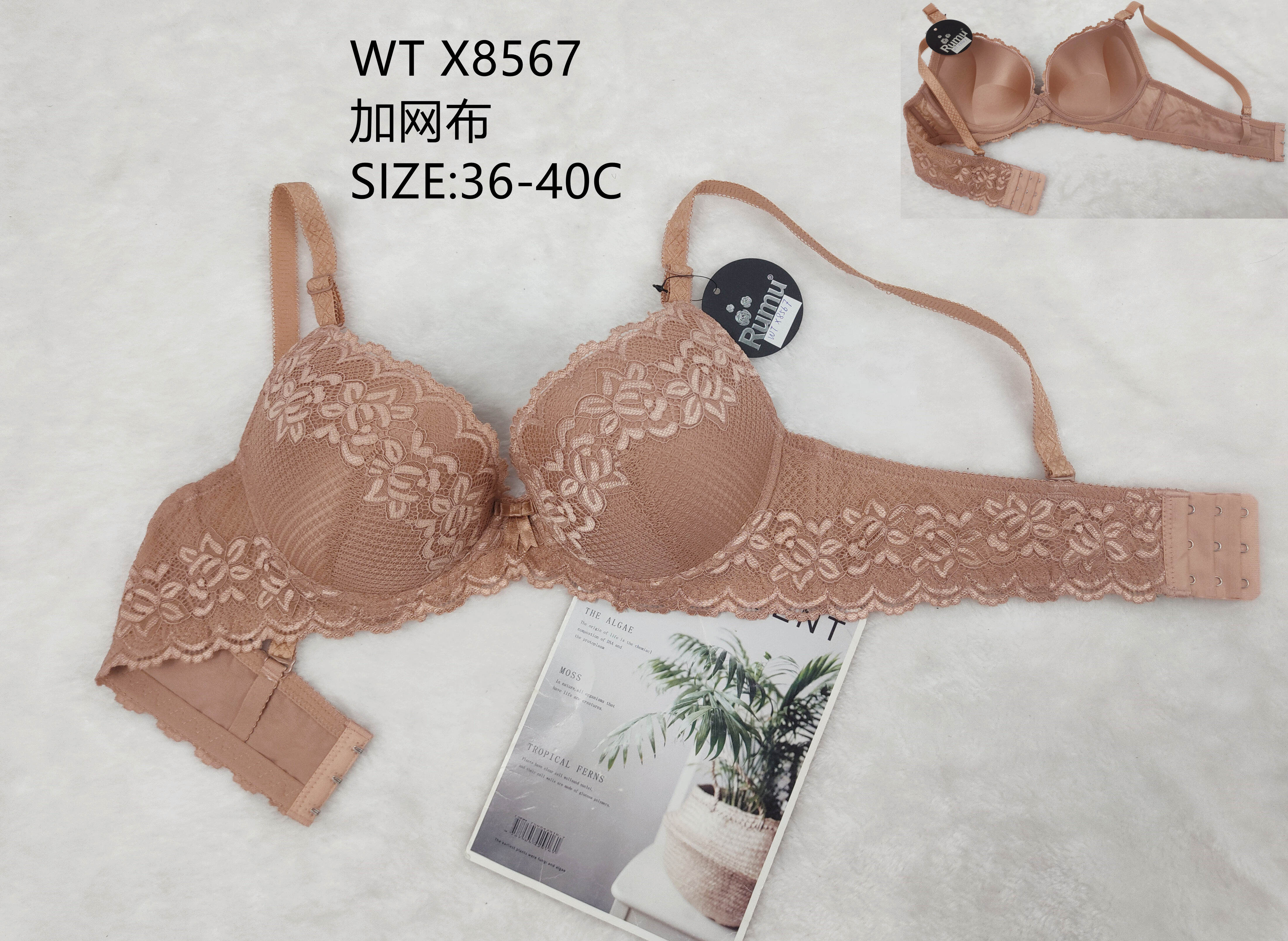 WTX8567，bra