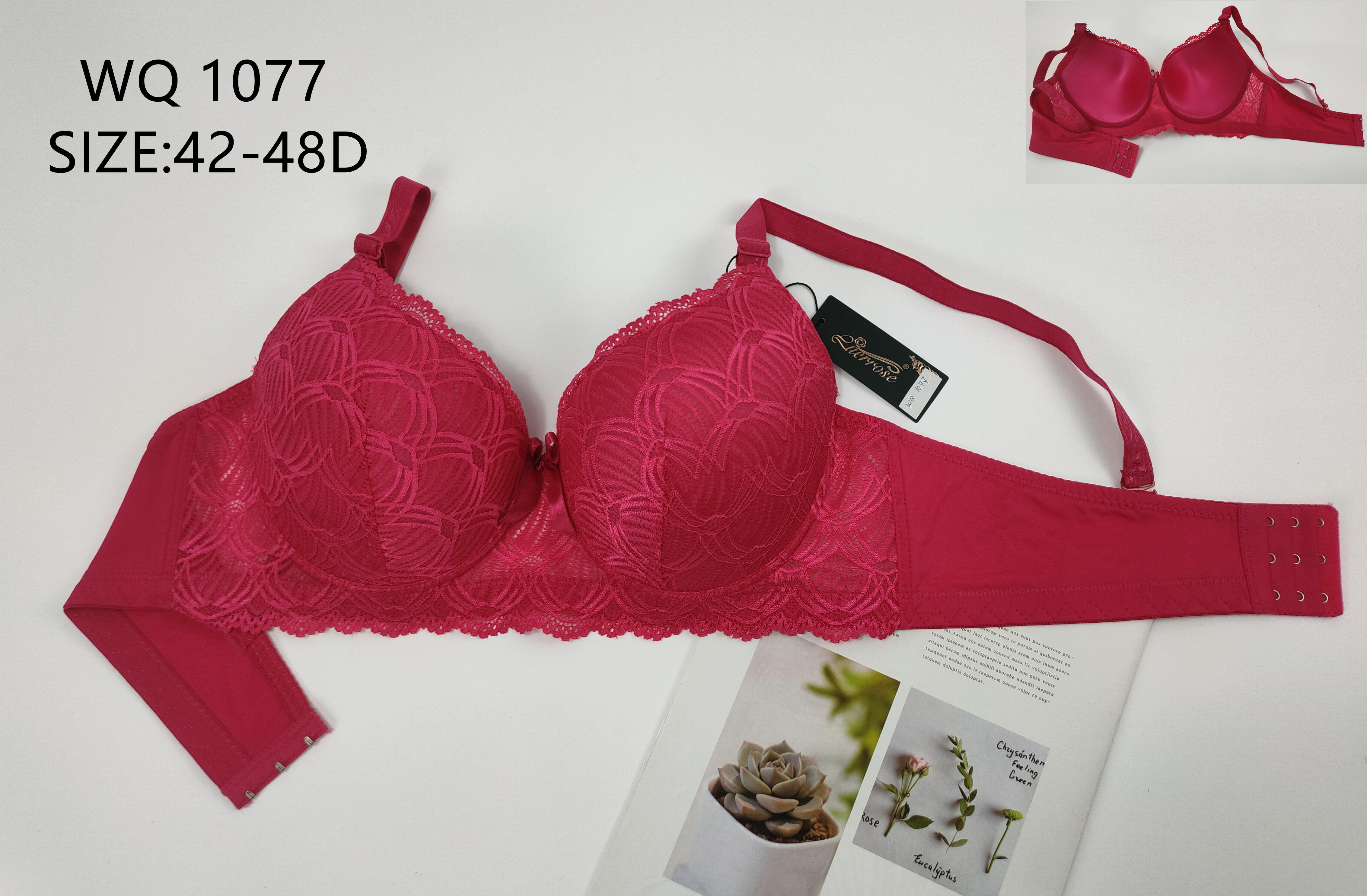 WQ1077，bra