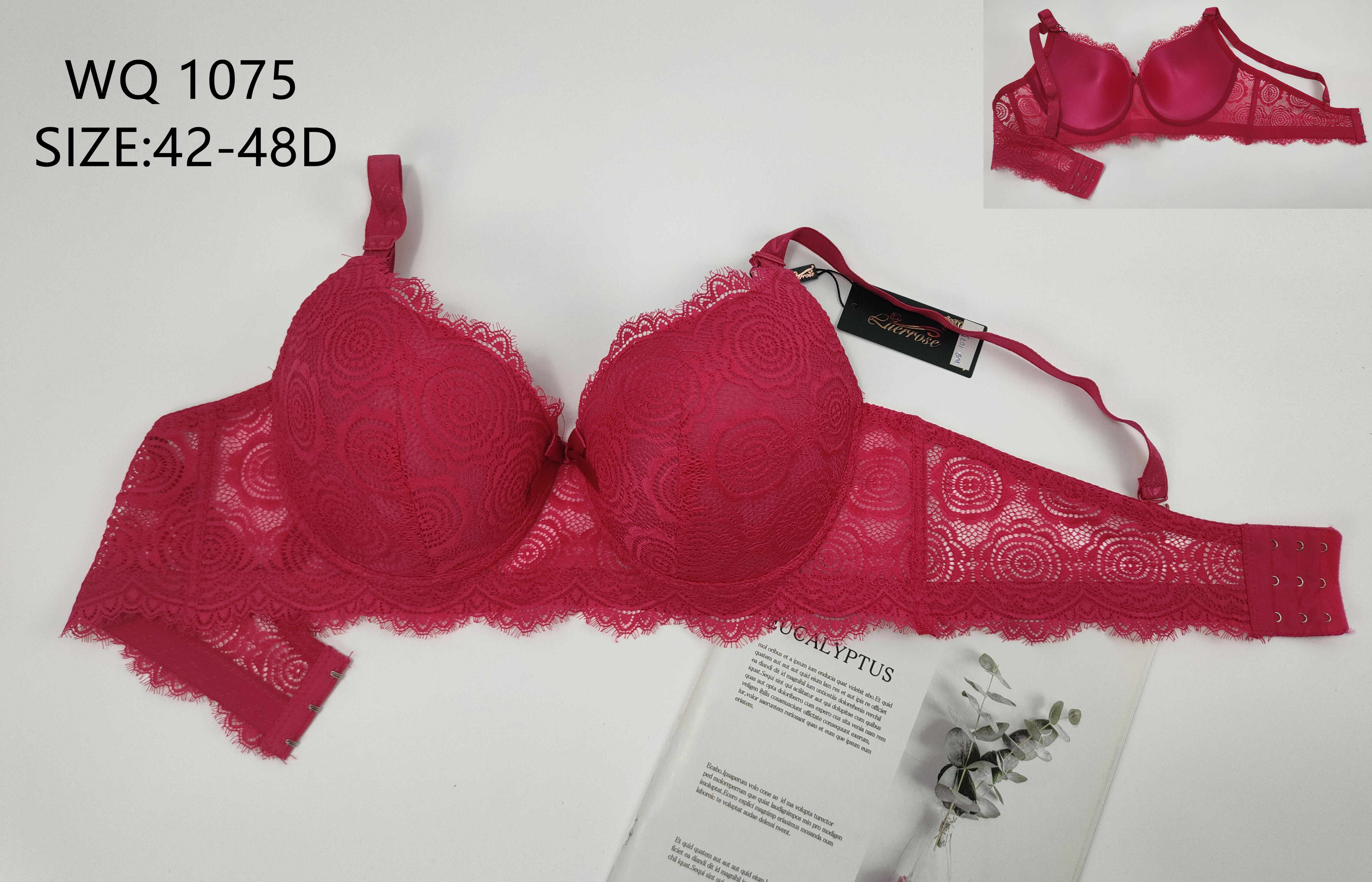 WQ1075，bra