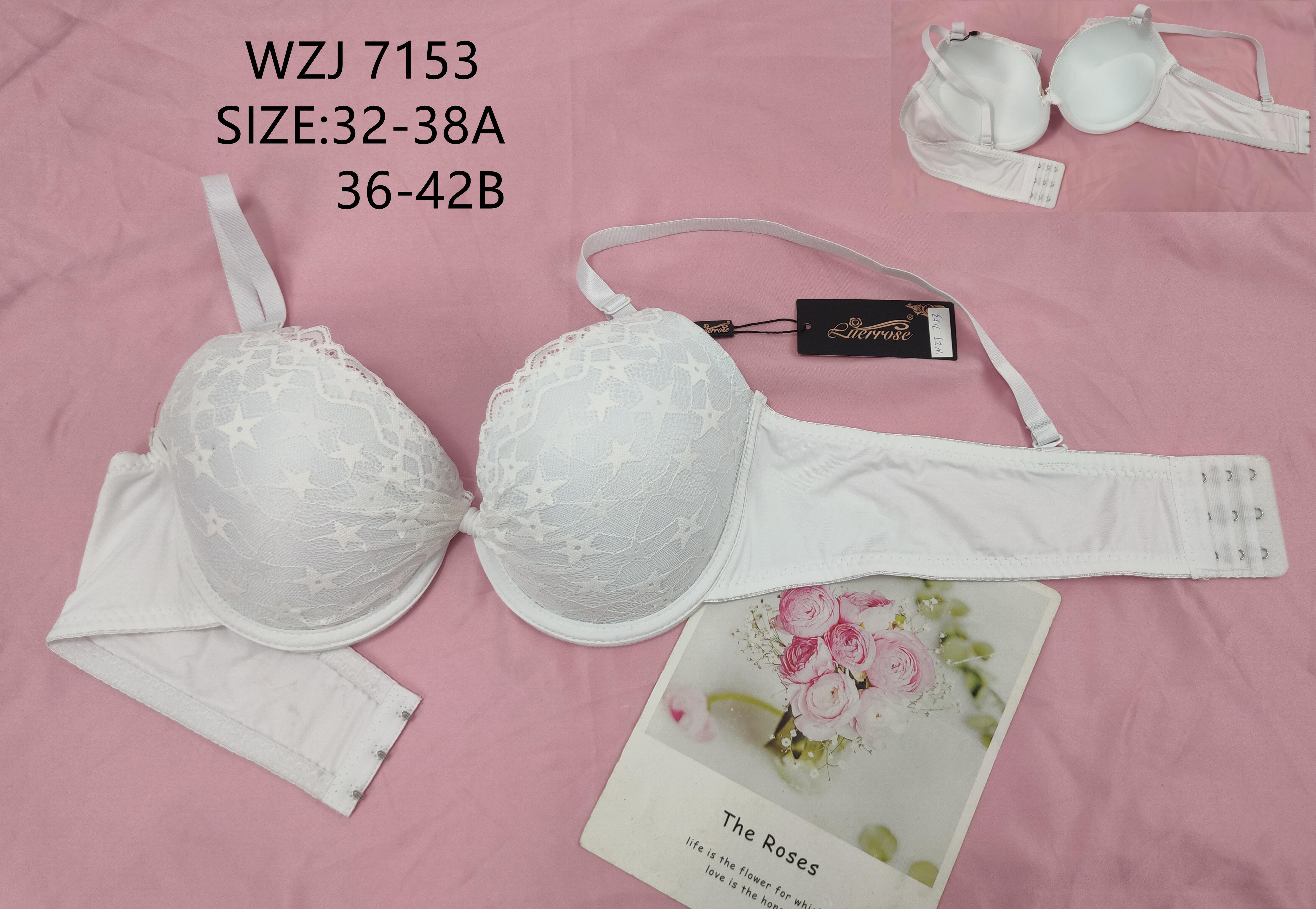 WZJ7153，bra