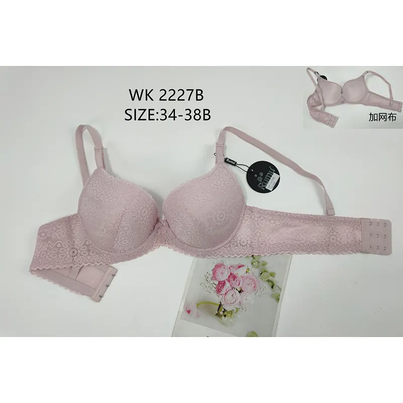 WK2227B,bra