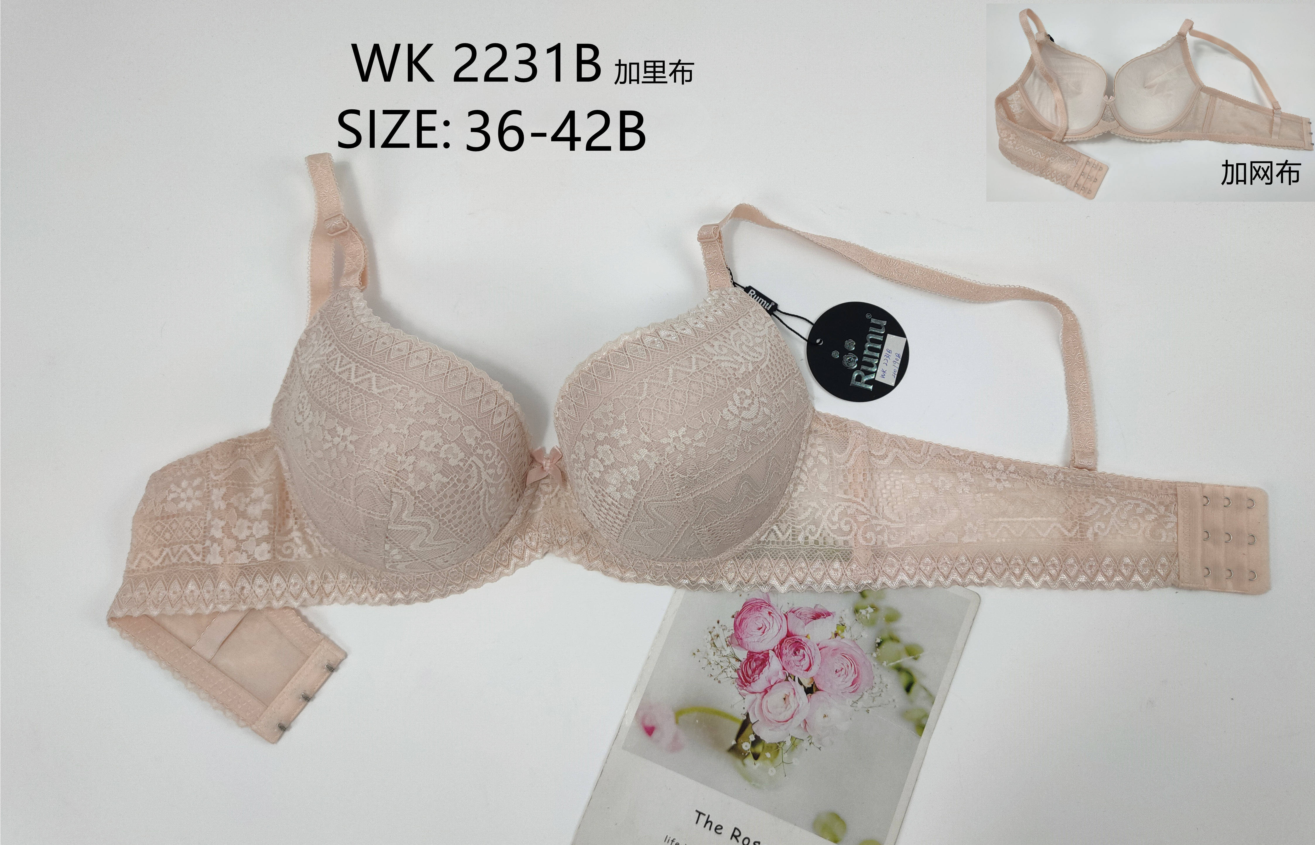 WK2231B,bra